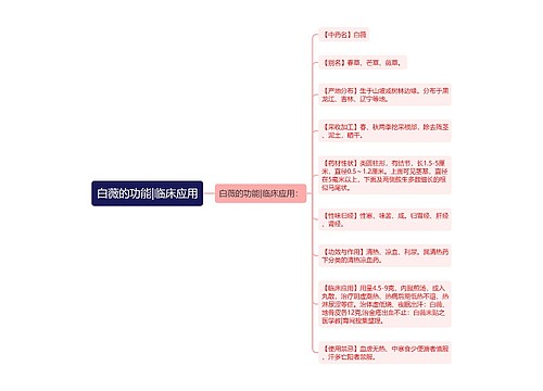 白薇的功能|临床应用