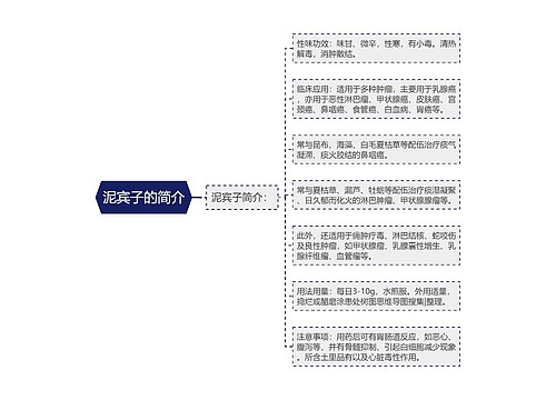 泥宾子的简介