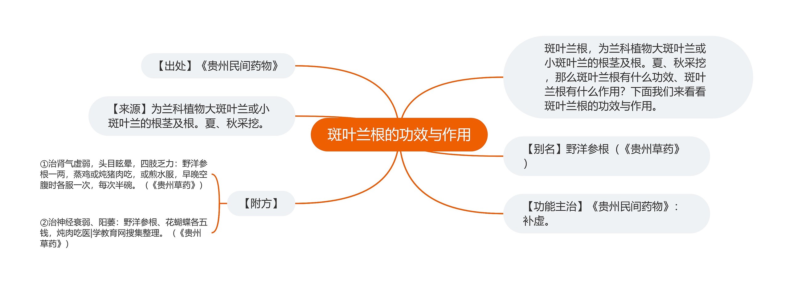 斑叶兰根的功效与作用