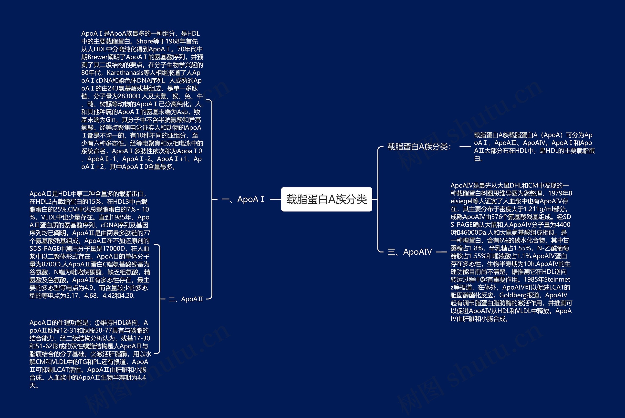 载脂蛋白A族分类思维导图