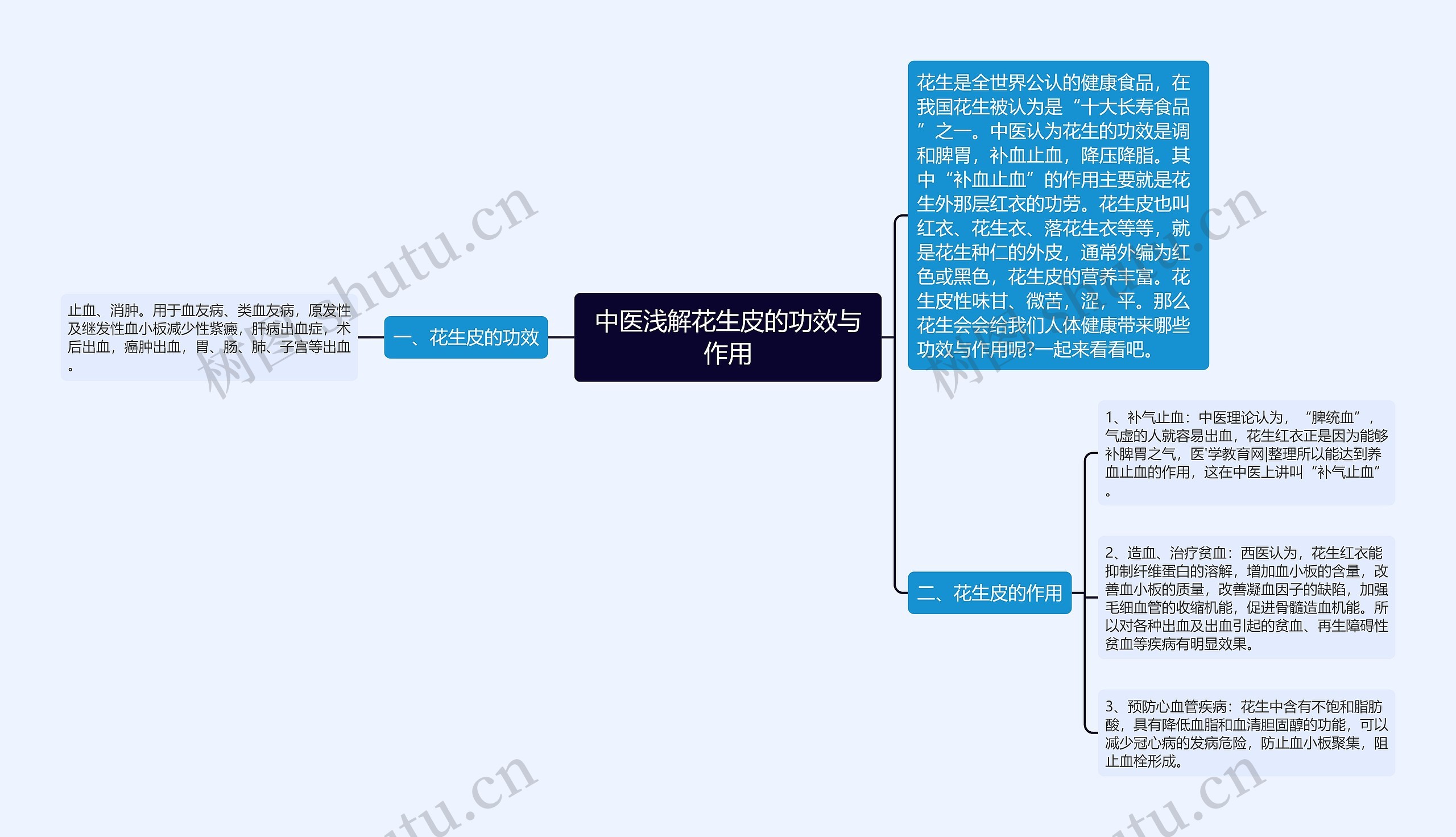 中医浅解花生皮的功效与作用