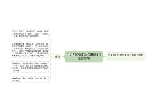 手少阴心经的分支|循行与联系脏腑