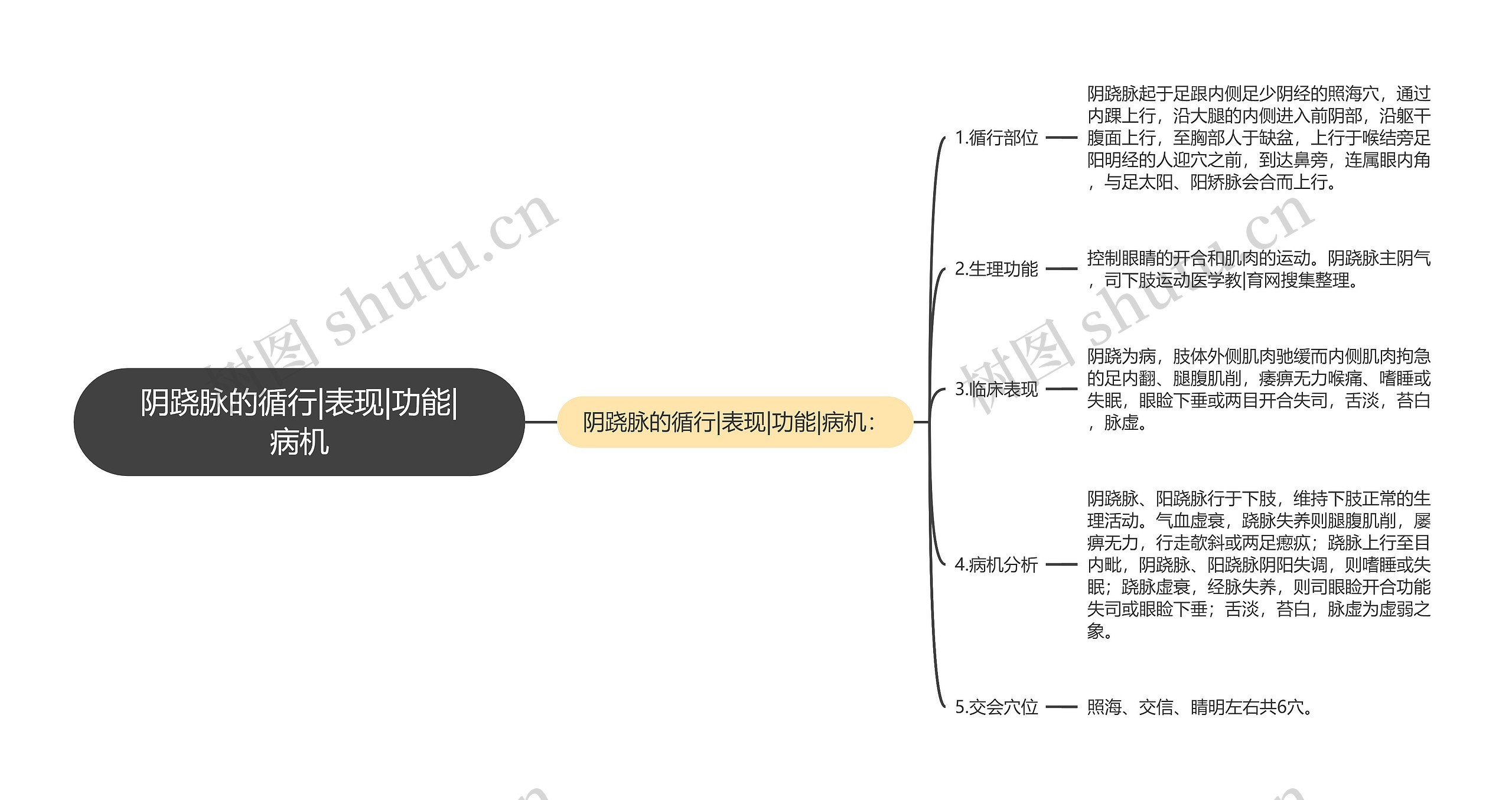 阴跷脉的循行|表现|功能|病机 阴跷脉的循行|表现|功能|病机