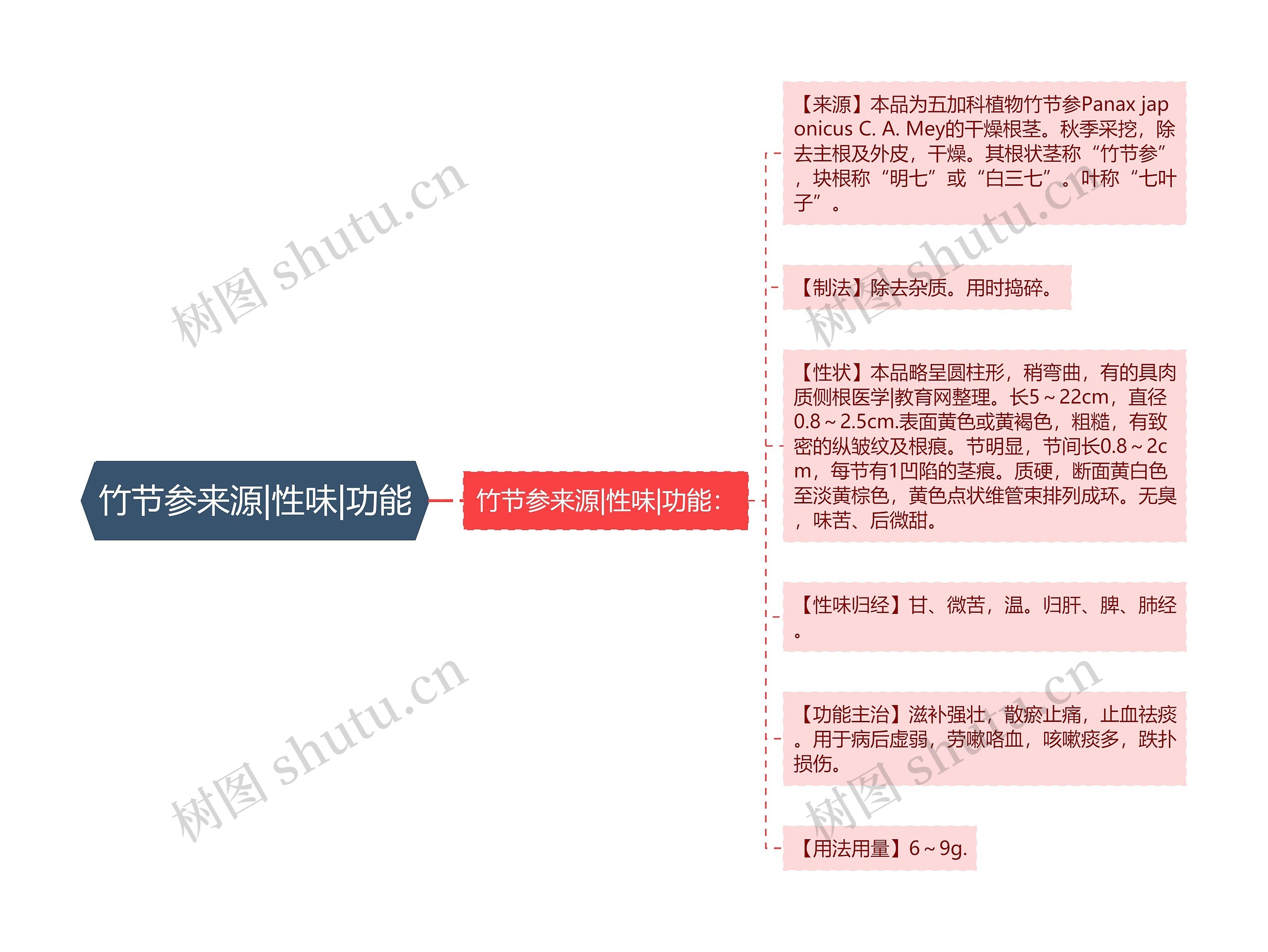 竹节参来源|性味|功能思维导图