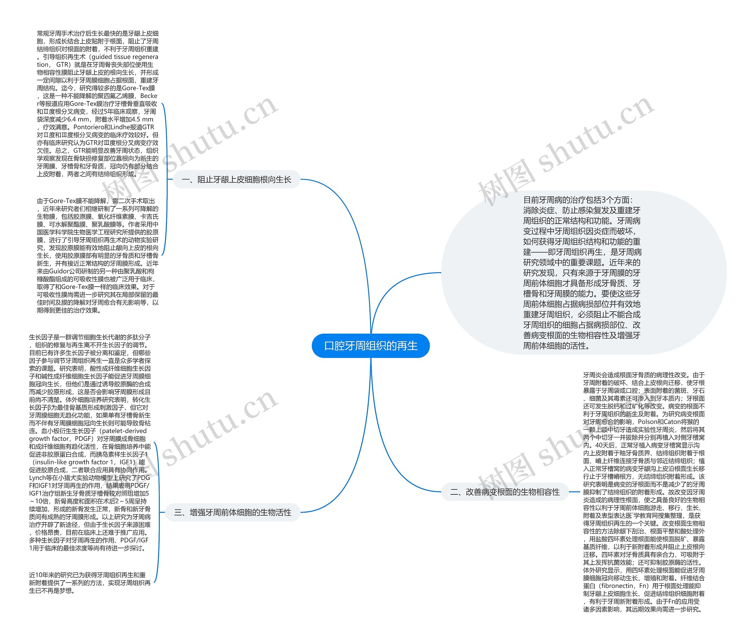 口腔牙周组织的再生思维导图