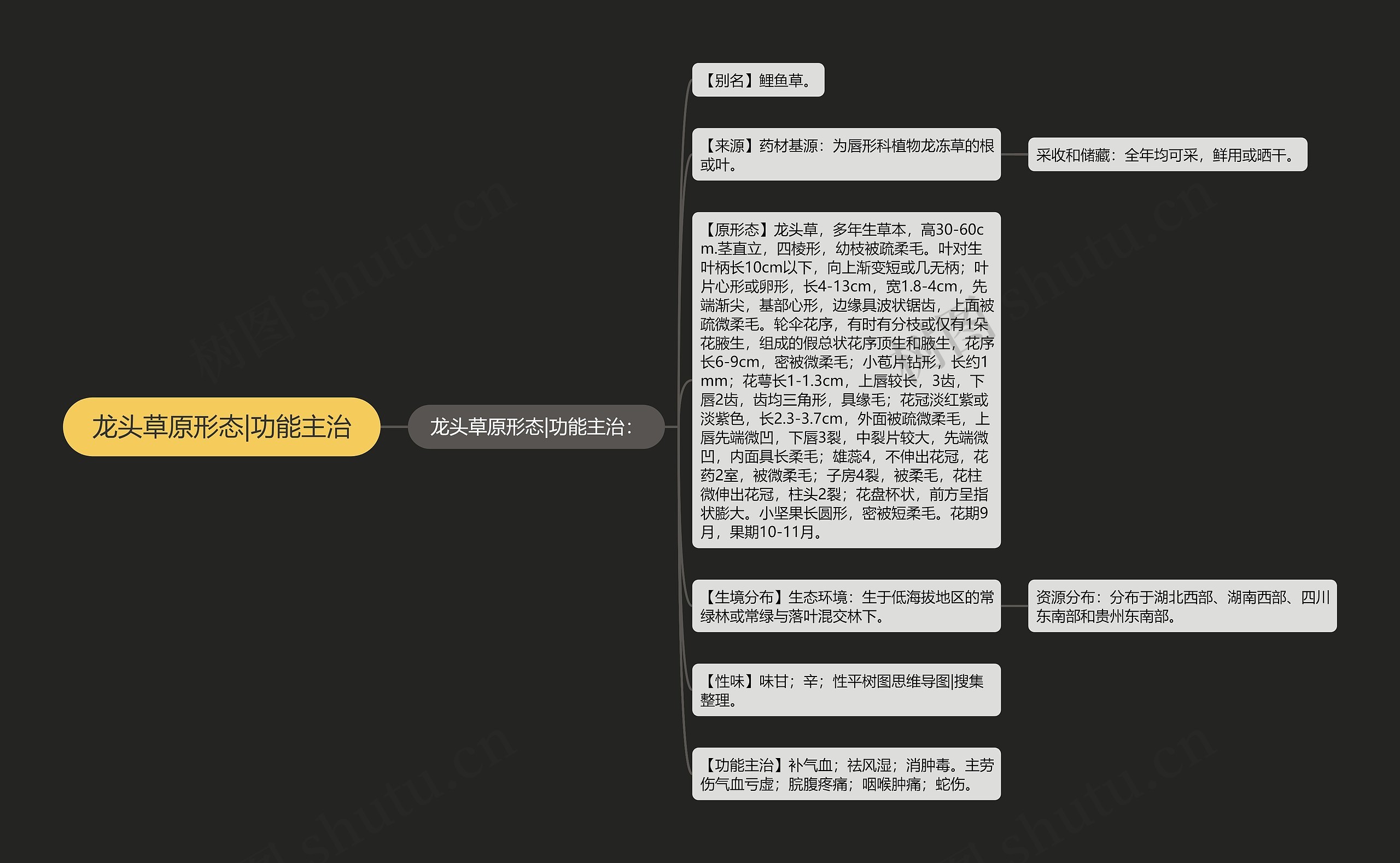 龙头草原形态|功能主治