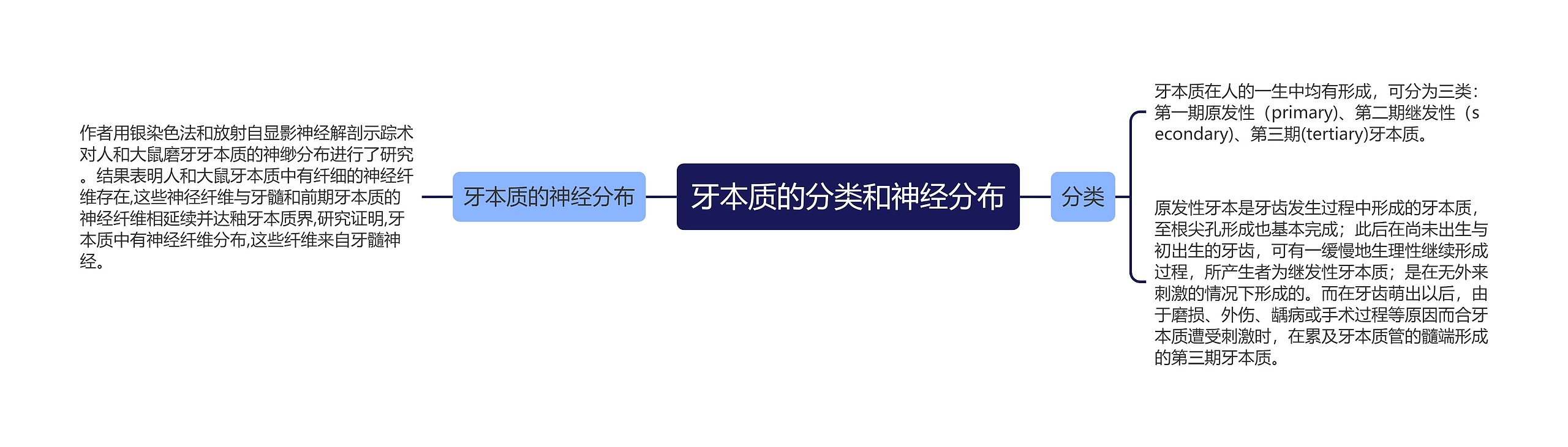 牙本质的分类和神经分布思维导图