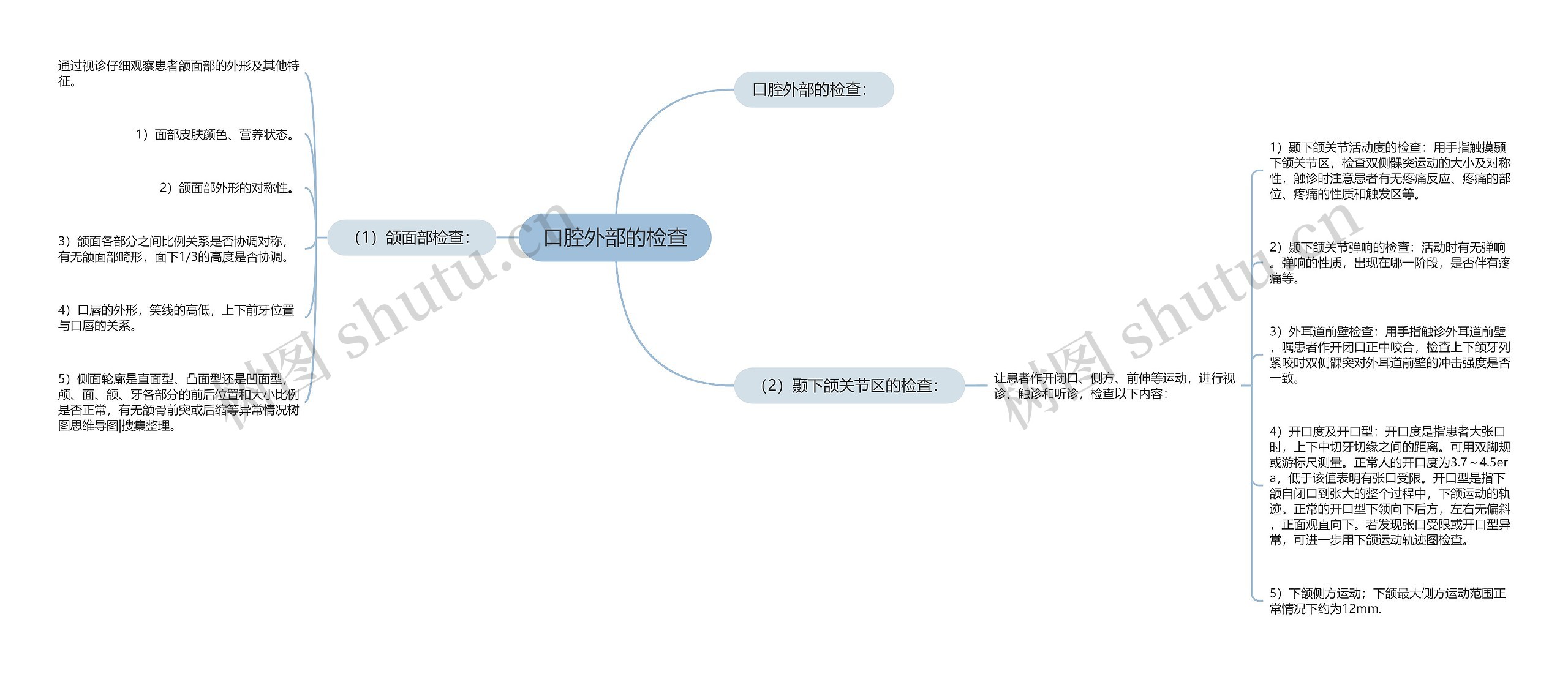 口腔外部的检查 口腔外部的检查