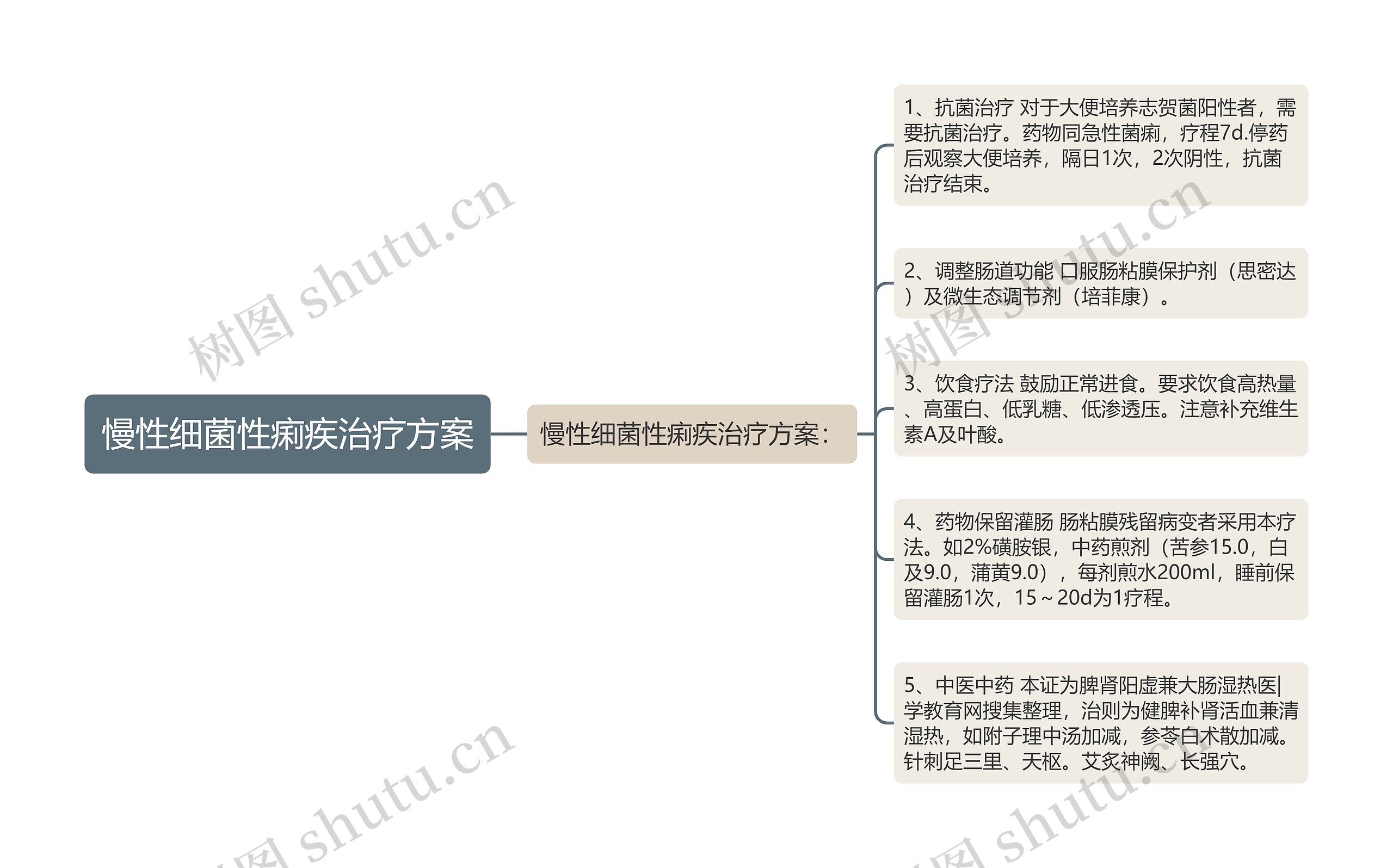 慢性细菌性痢疾治疗方案思维导图