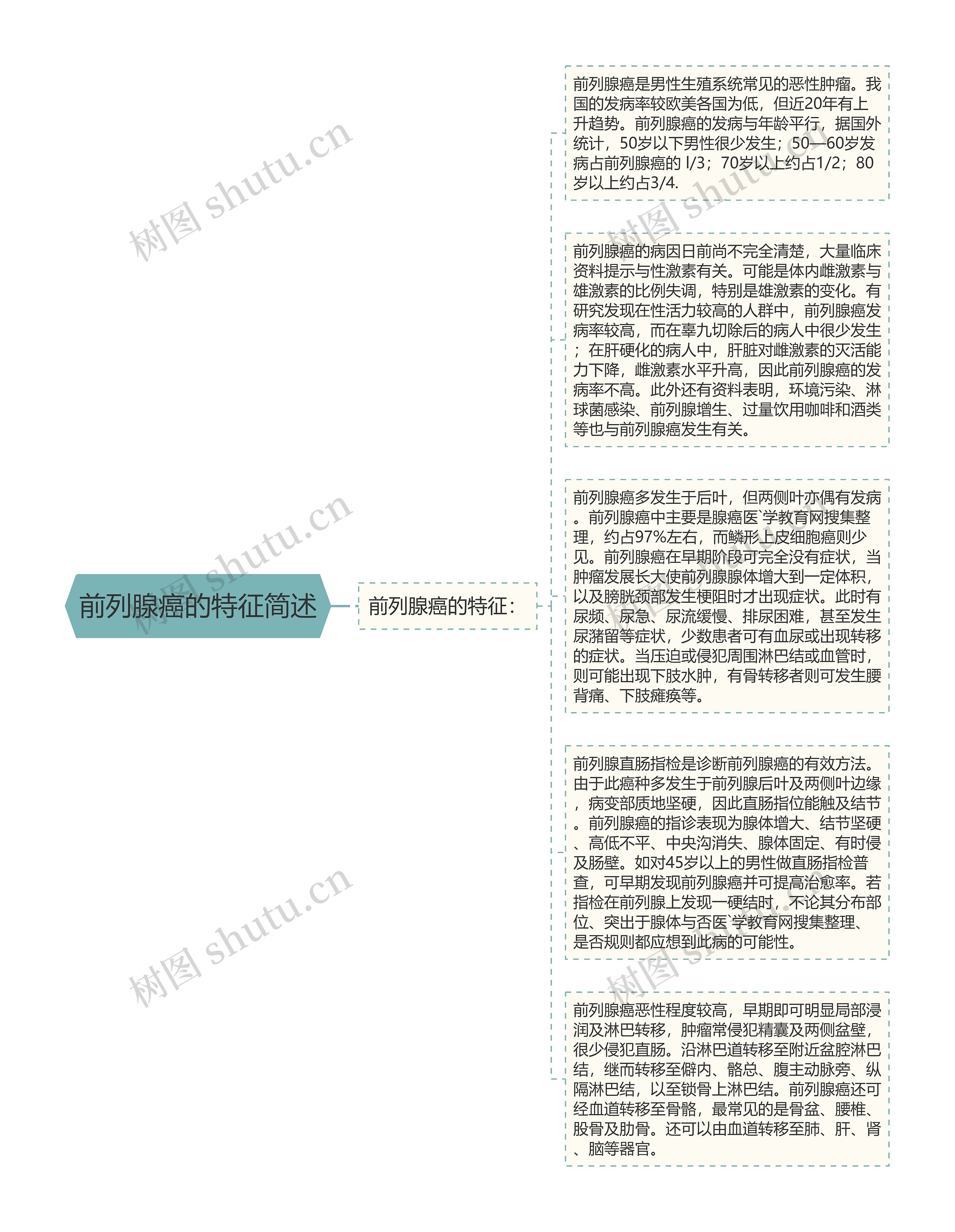 前列腺癌的特征简述思维导图