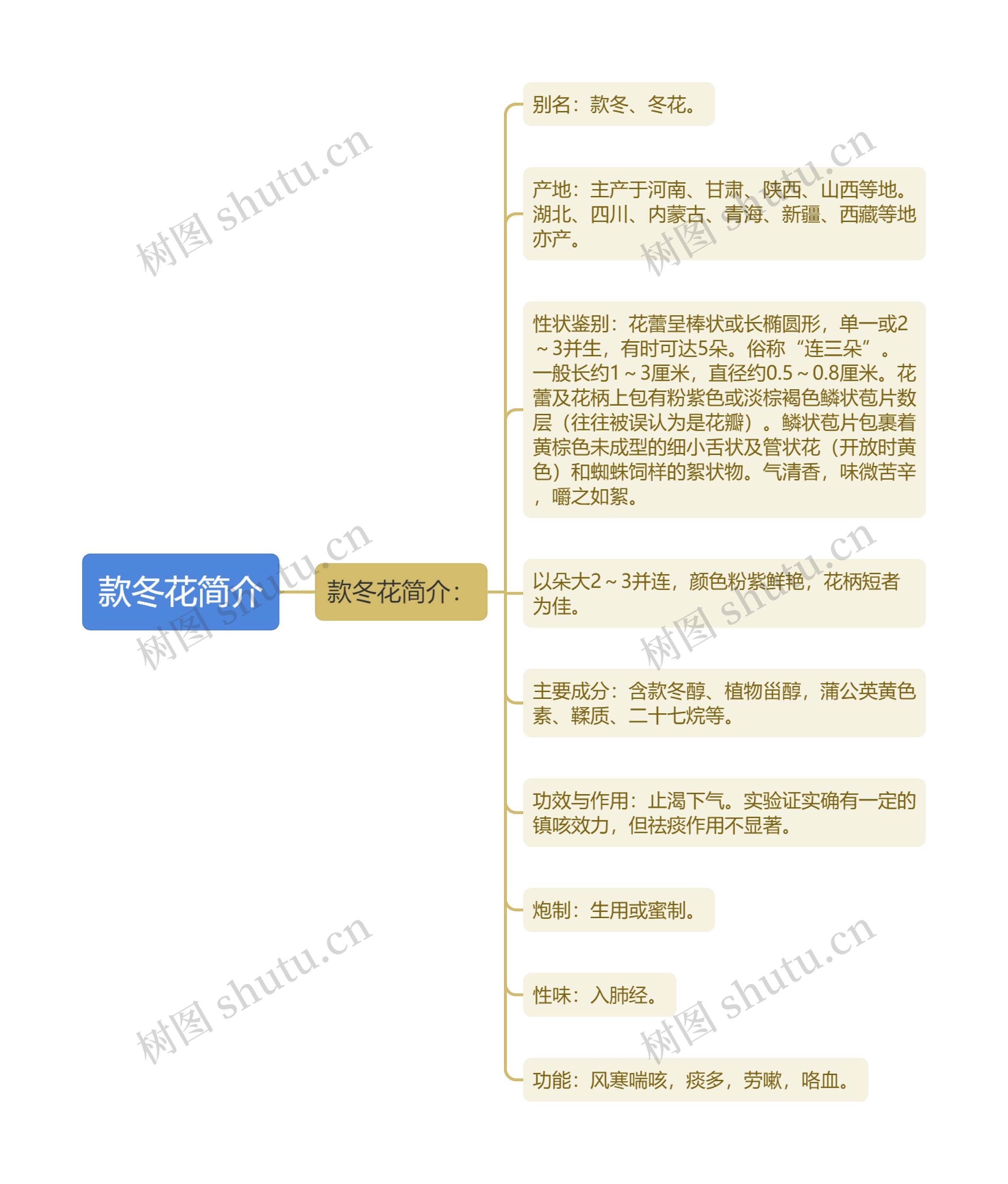 款冬花简介 款冬花简介