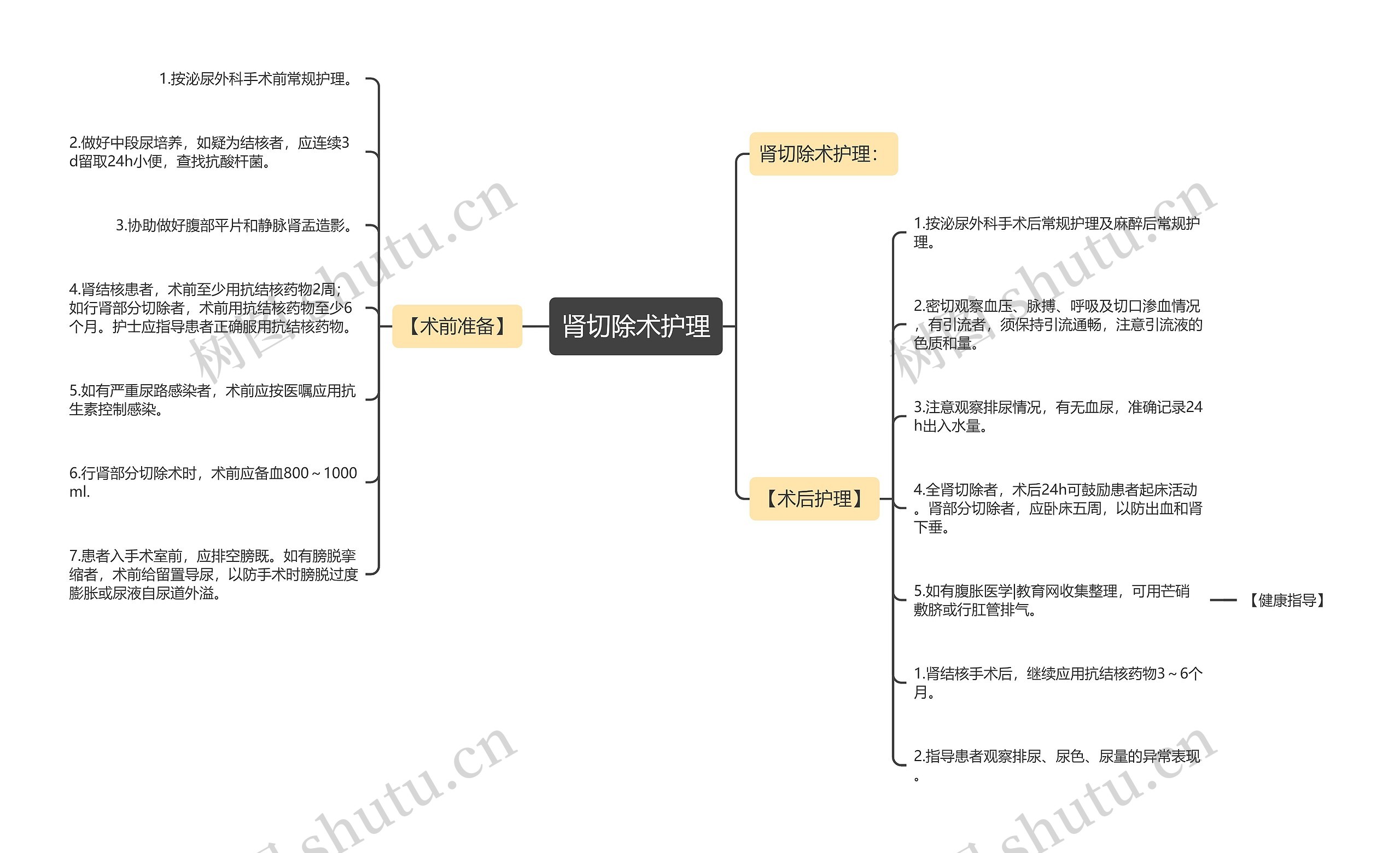 肾切除术护理思维导图