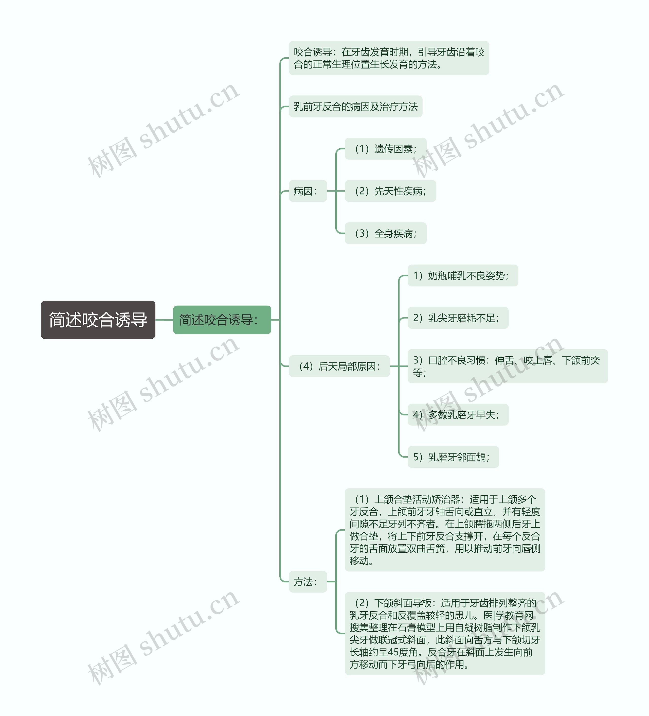 简述咬合诱导思维导图