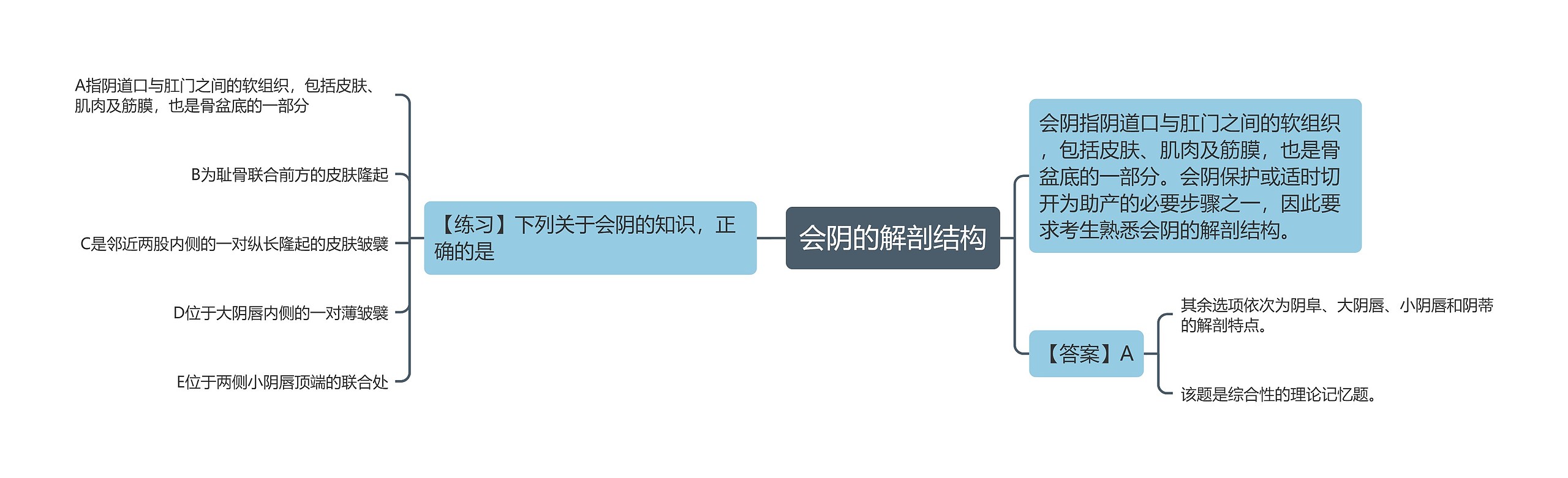 会阴的解剖结构 会阴的解剖结构