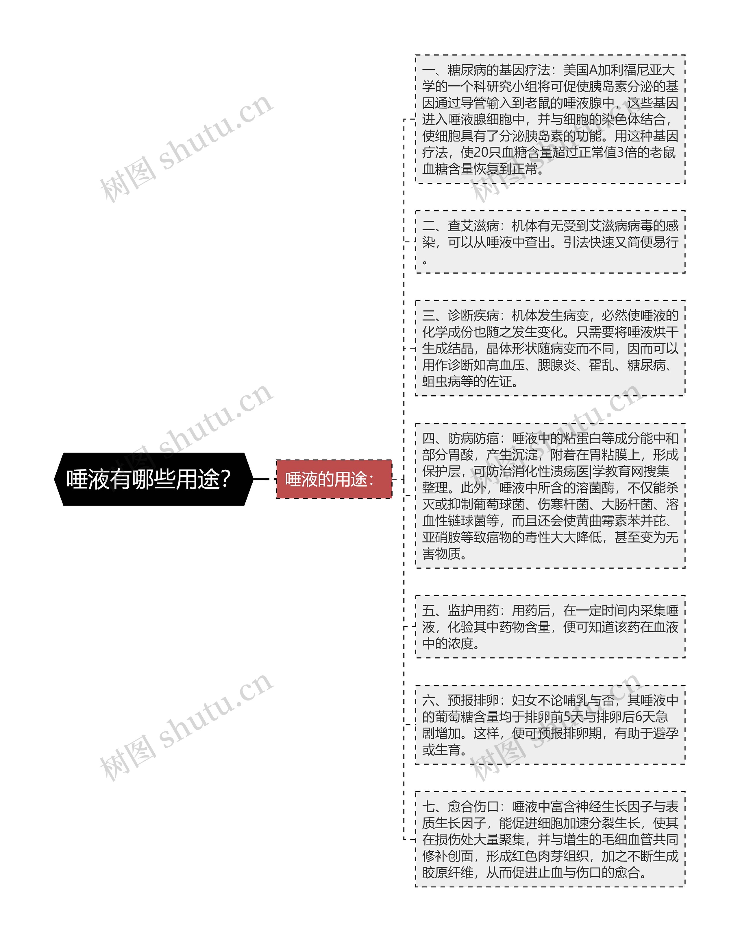 唾液有哪些用途?思维导图高清图 唾液有哪些用途?思维导图