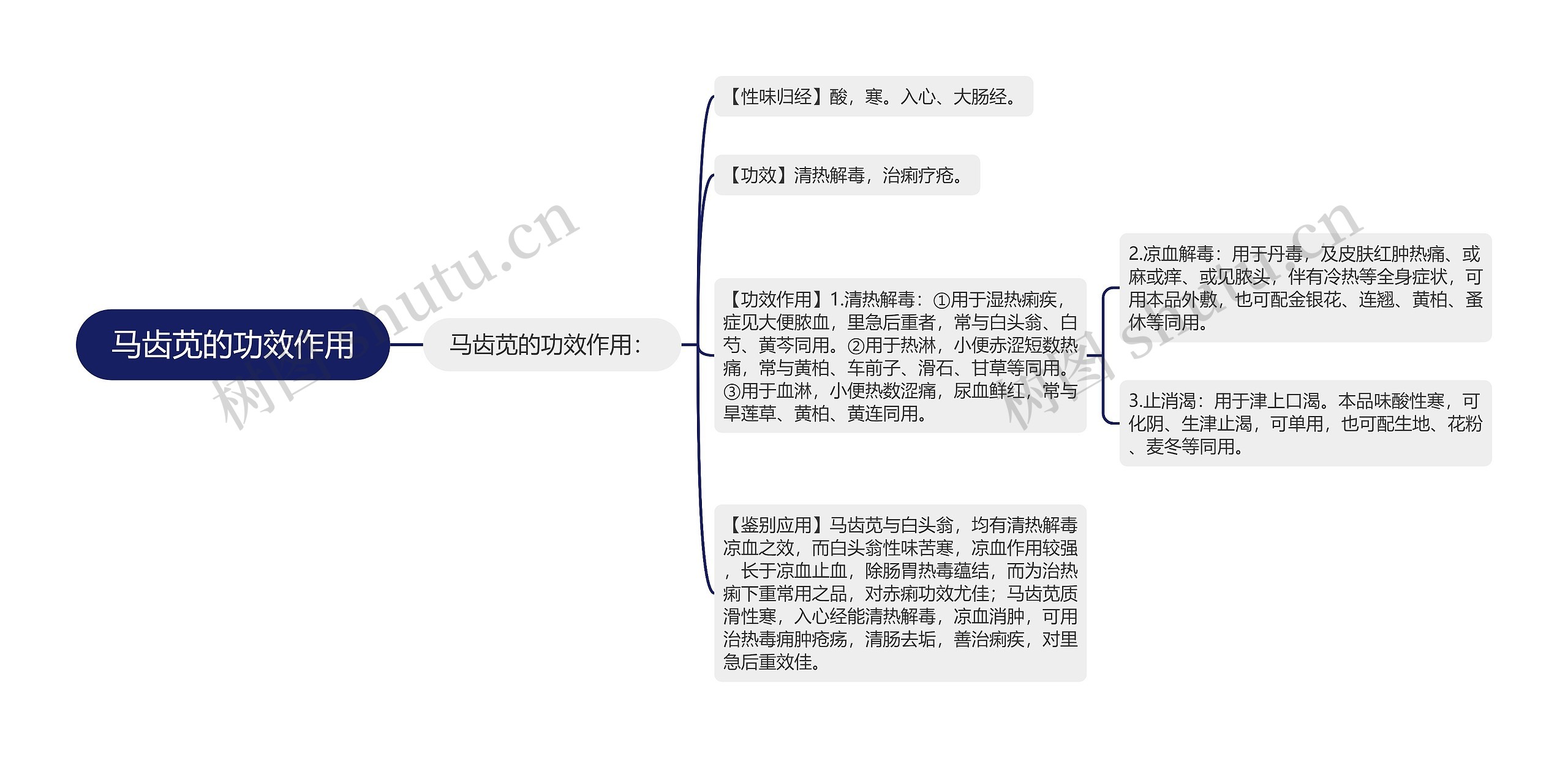 马齿苋的功效作用 马齿苋的功效作用