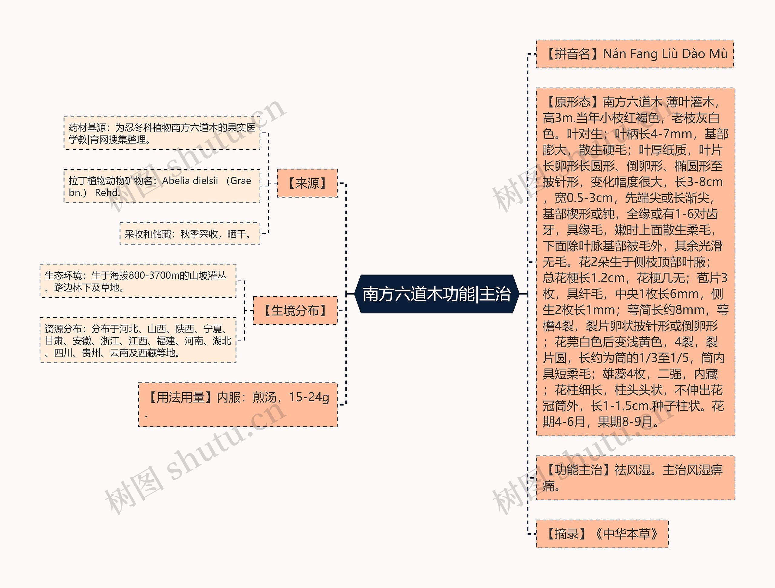 南方六道木功能|主治思维导图