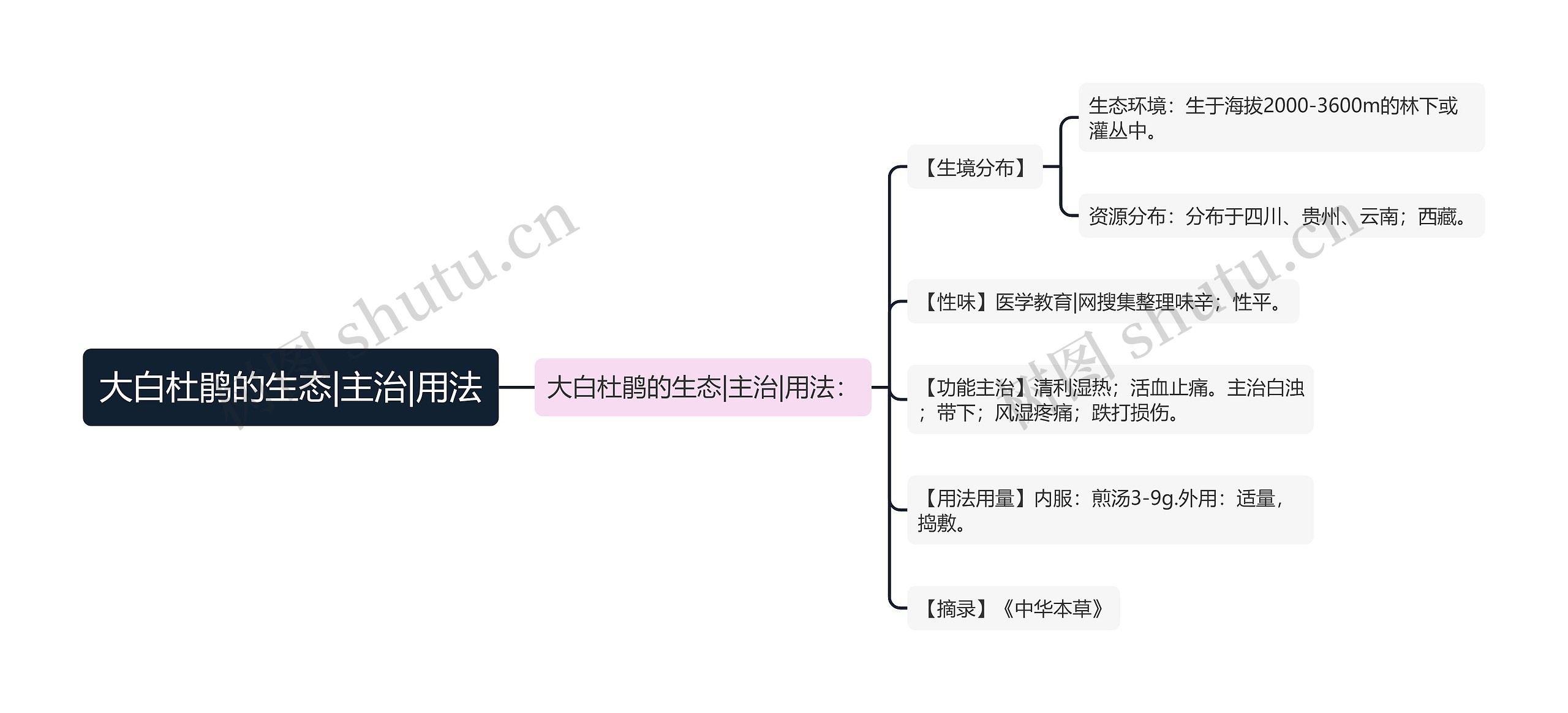 大白杜鹃的生态|主治|用法