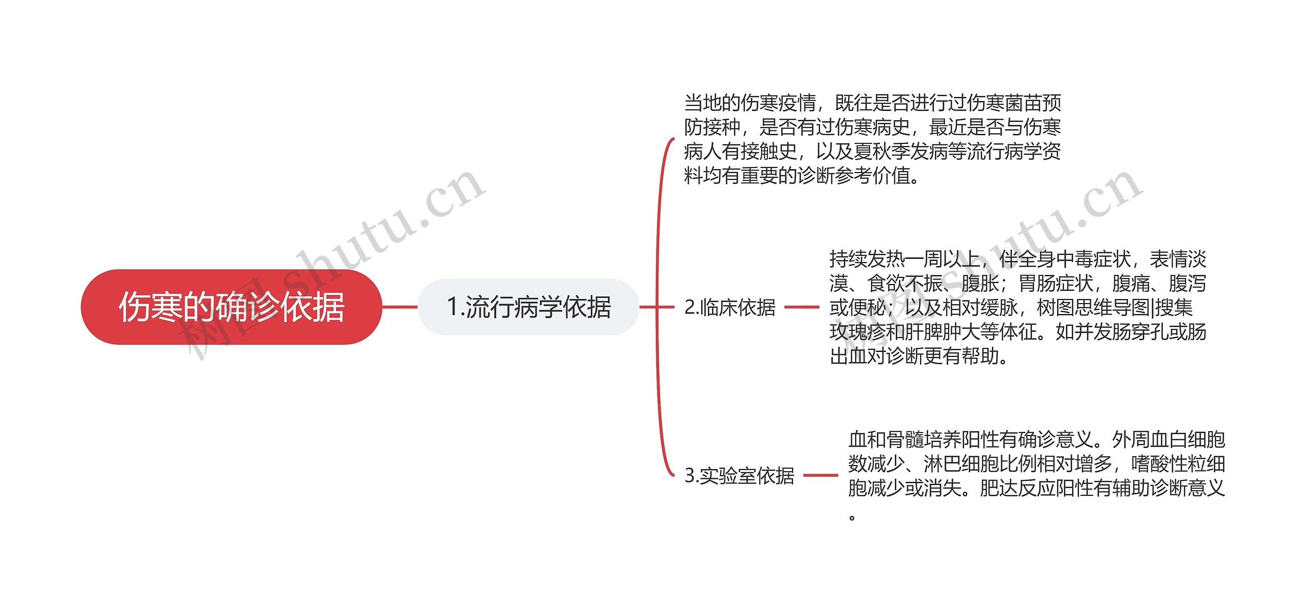 伤寒的确诊依据思维导图