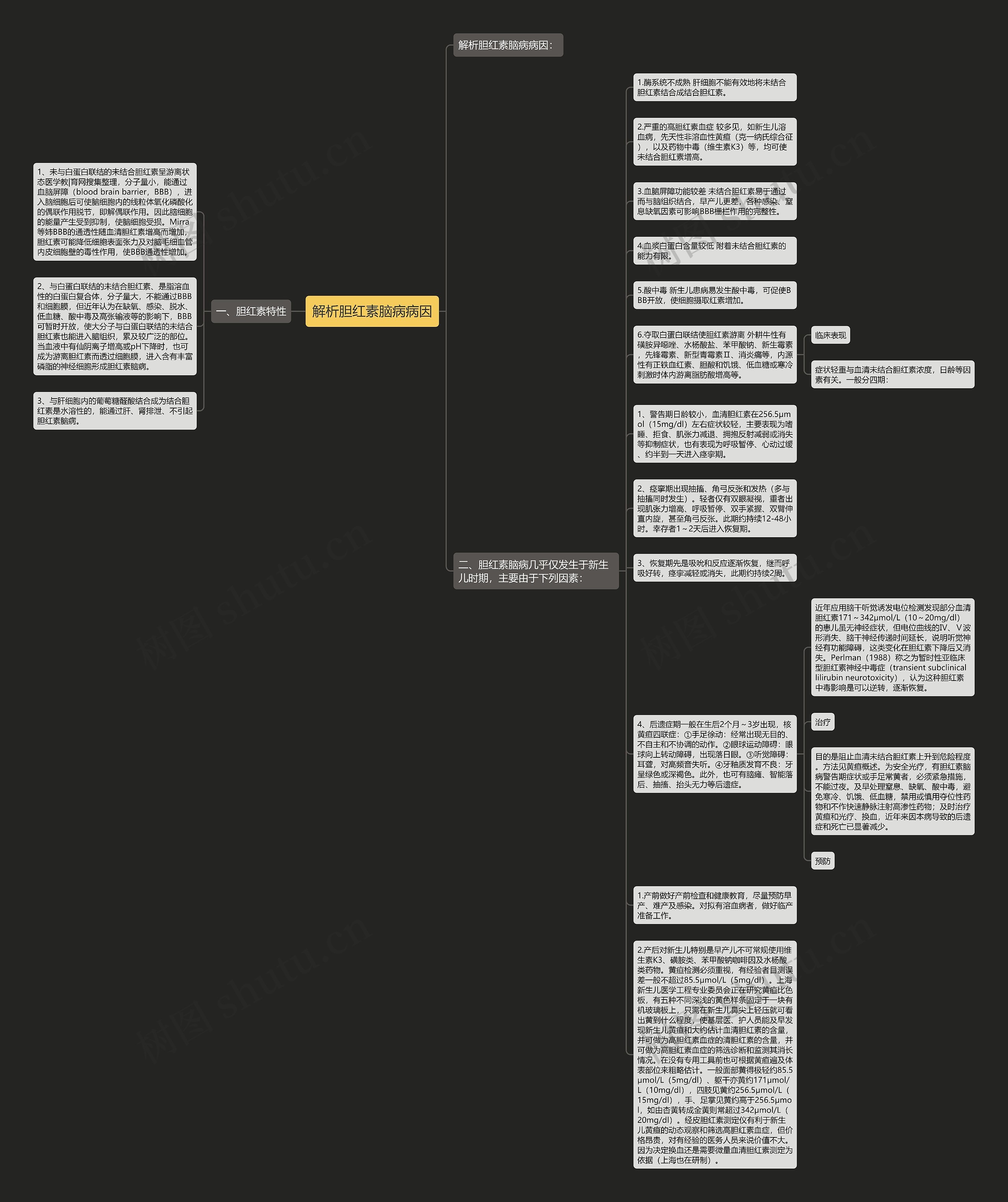 解析胆红素脑病病因思维导图