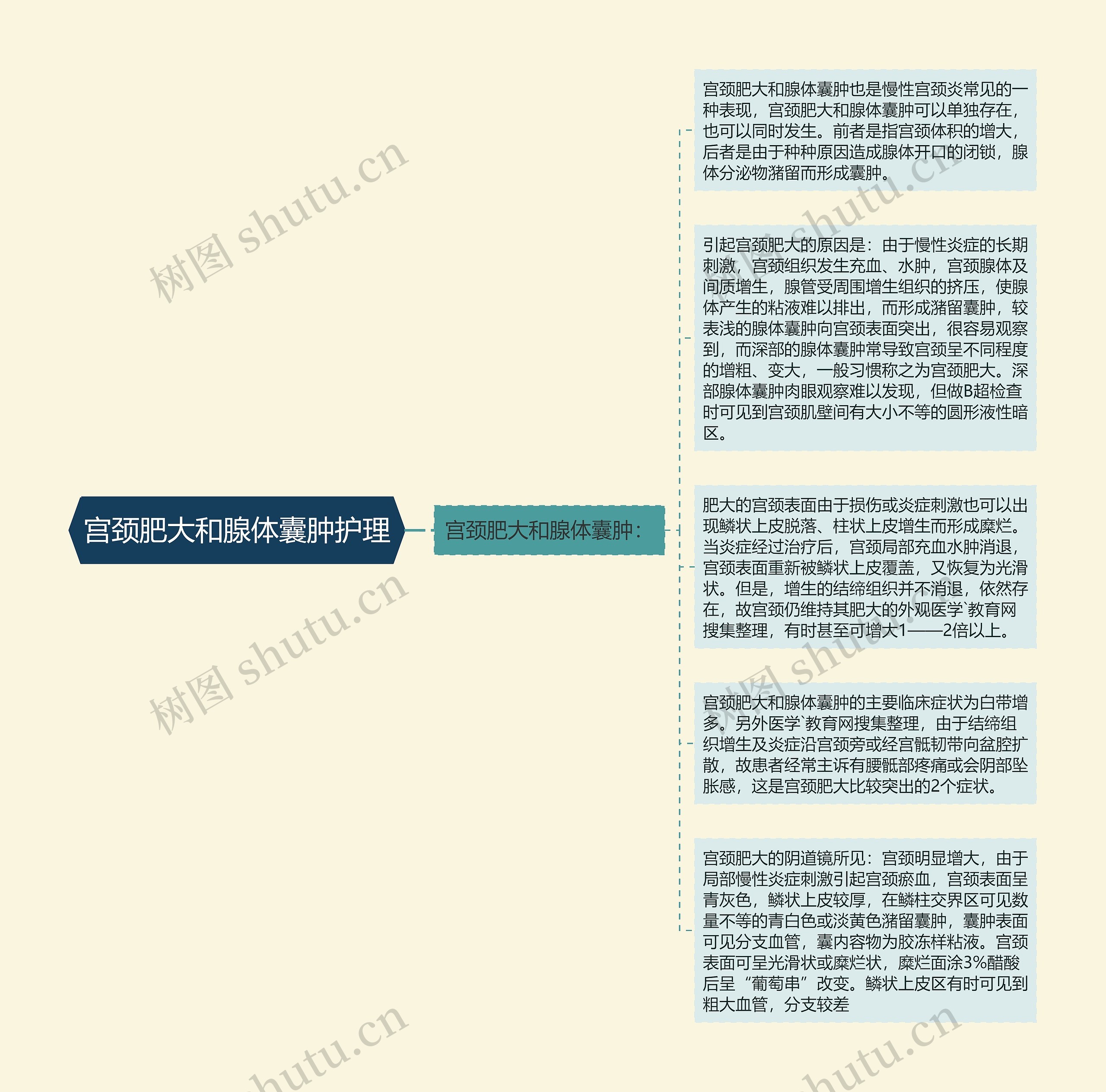 宫颈肥大和腺体囊肿护理思维导图