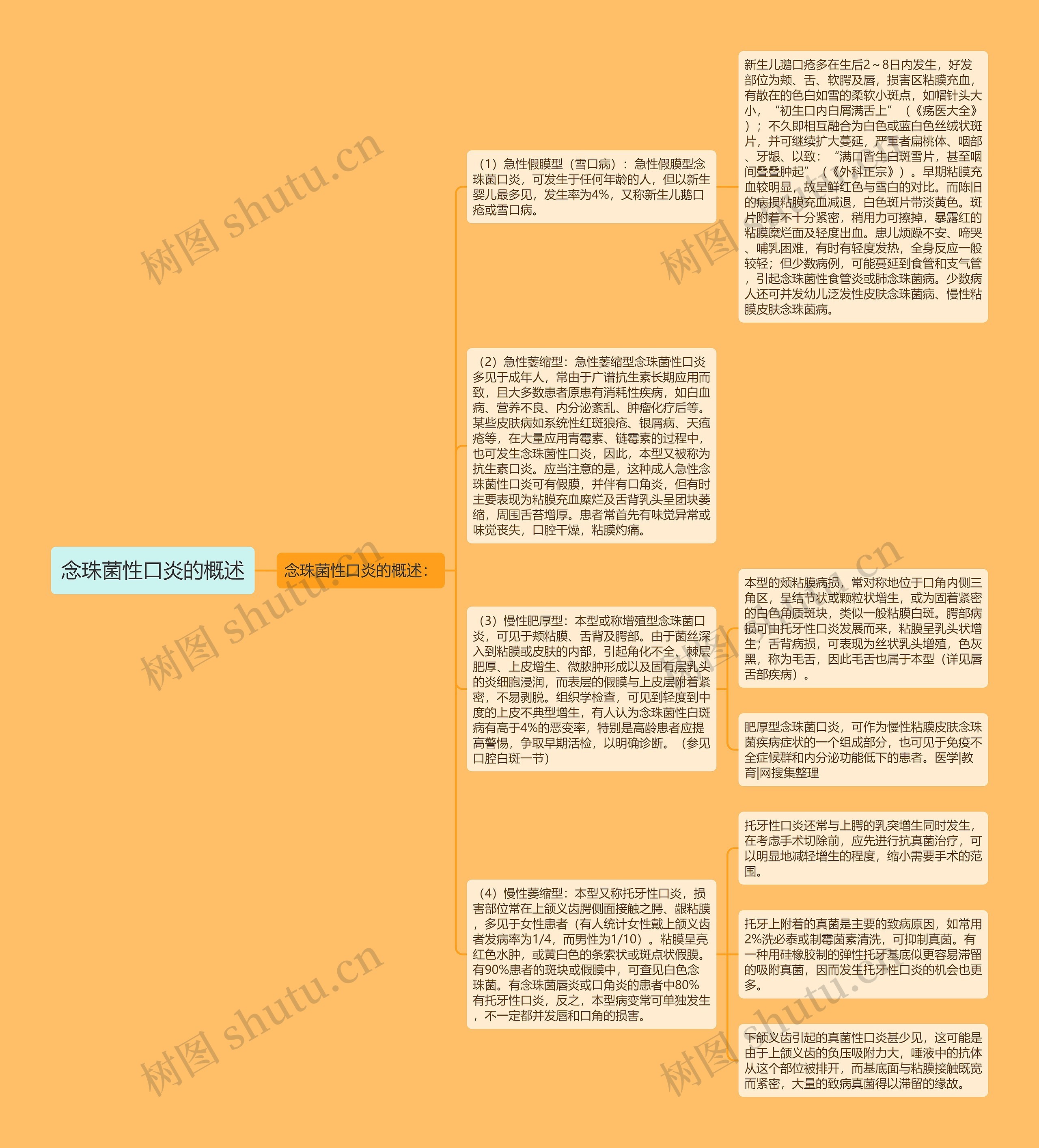 念珠菌性口炎的概述思维导图