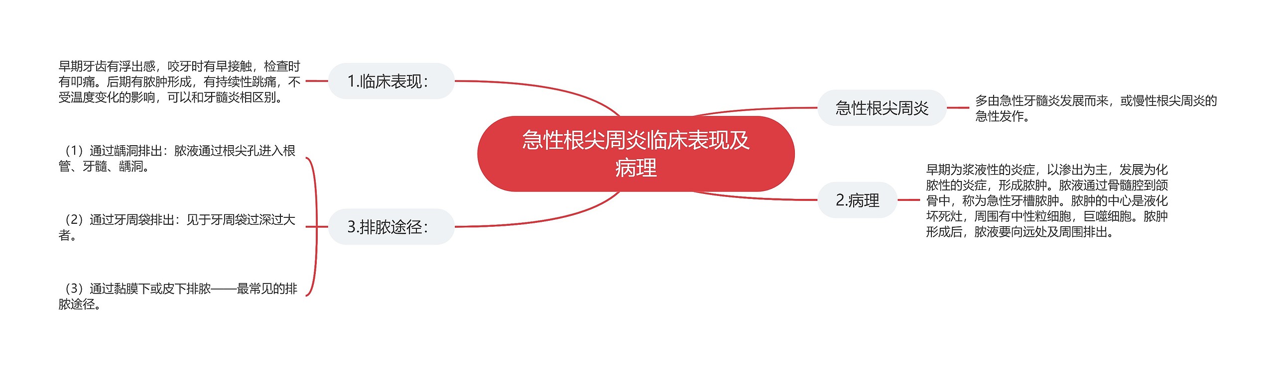 急性根尖周炎临床表现及病理 急性根尖周炎临床表现及病理