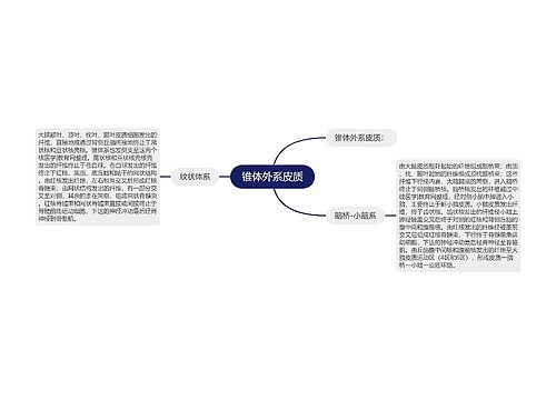 锥体外系皮质