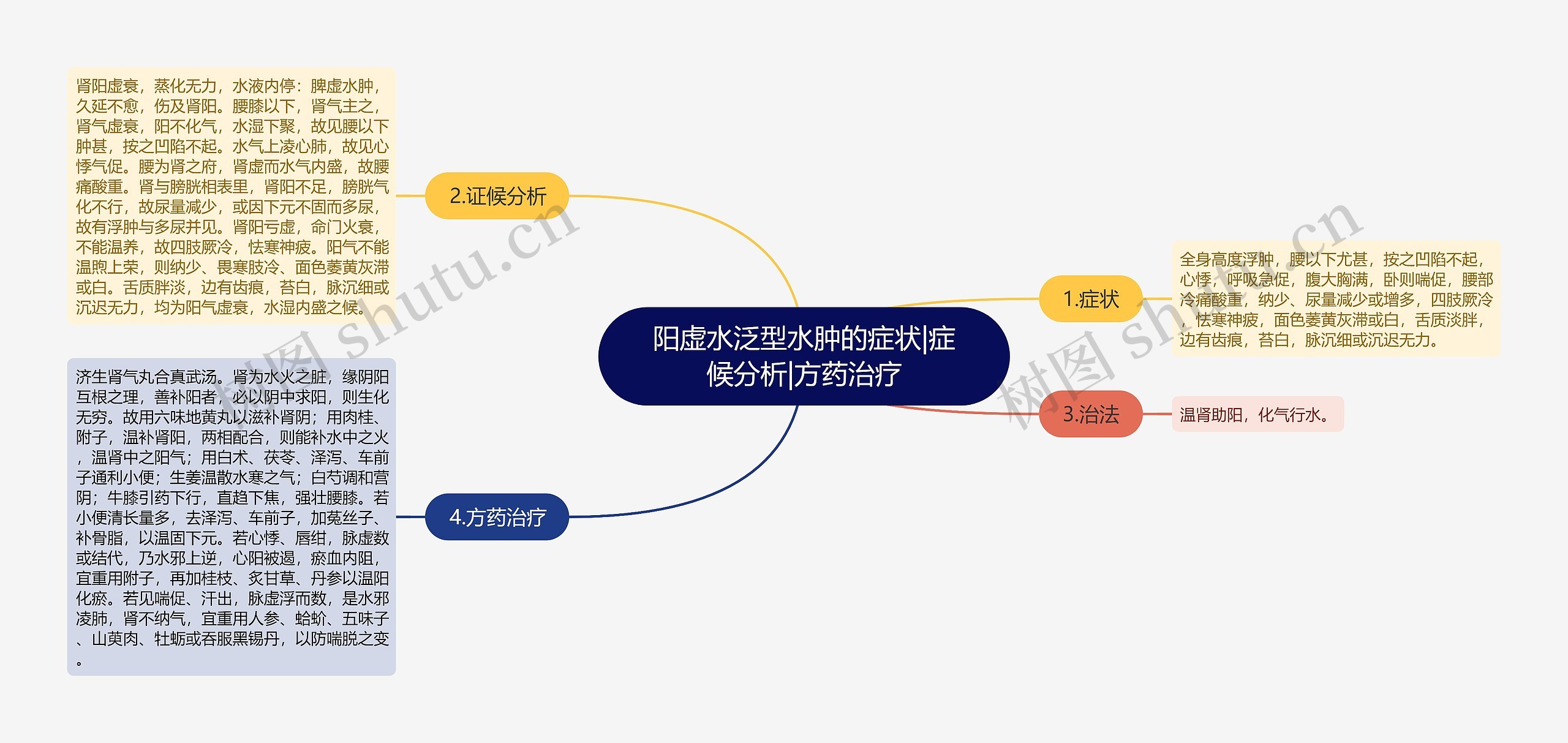 阳虚水泛型水肿的症状|症候分析|方药治疗