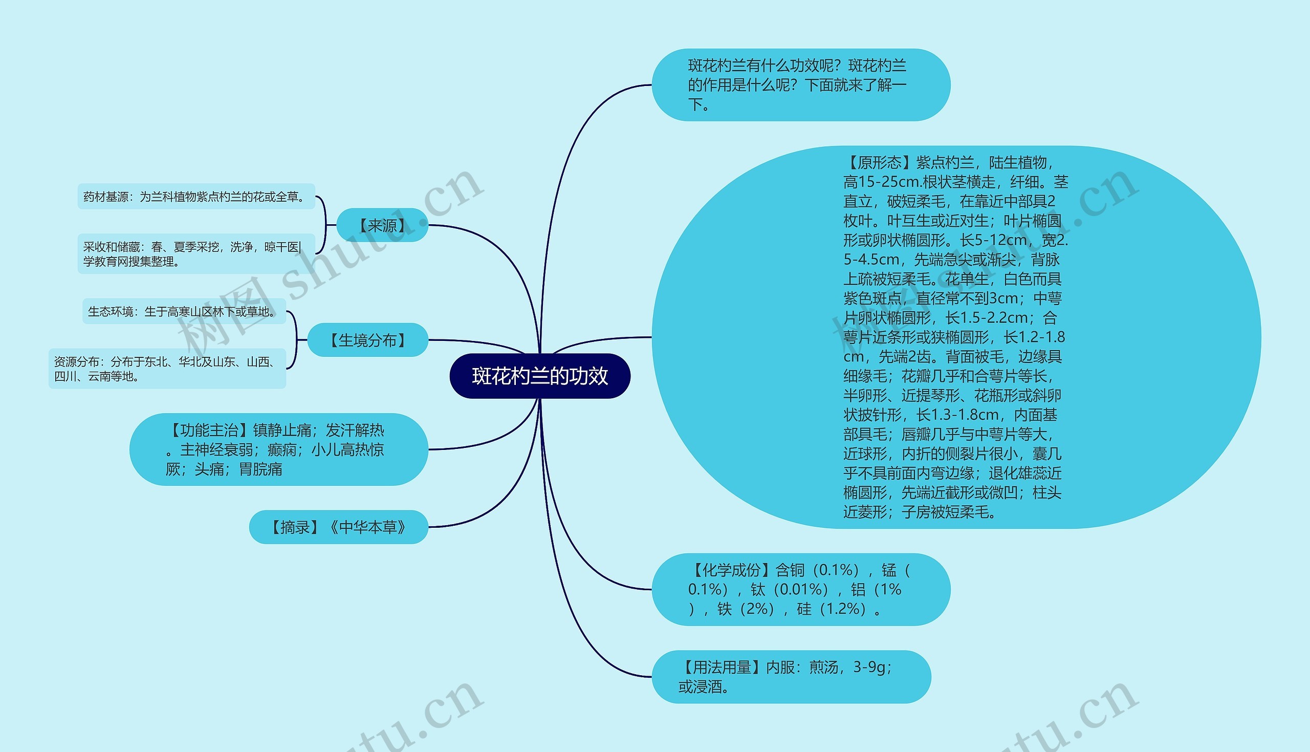 斑花杓兰的功效 斑花杓兰的功效