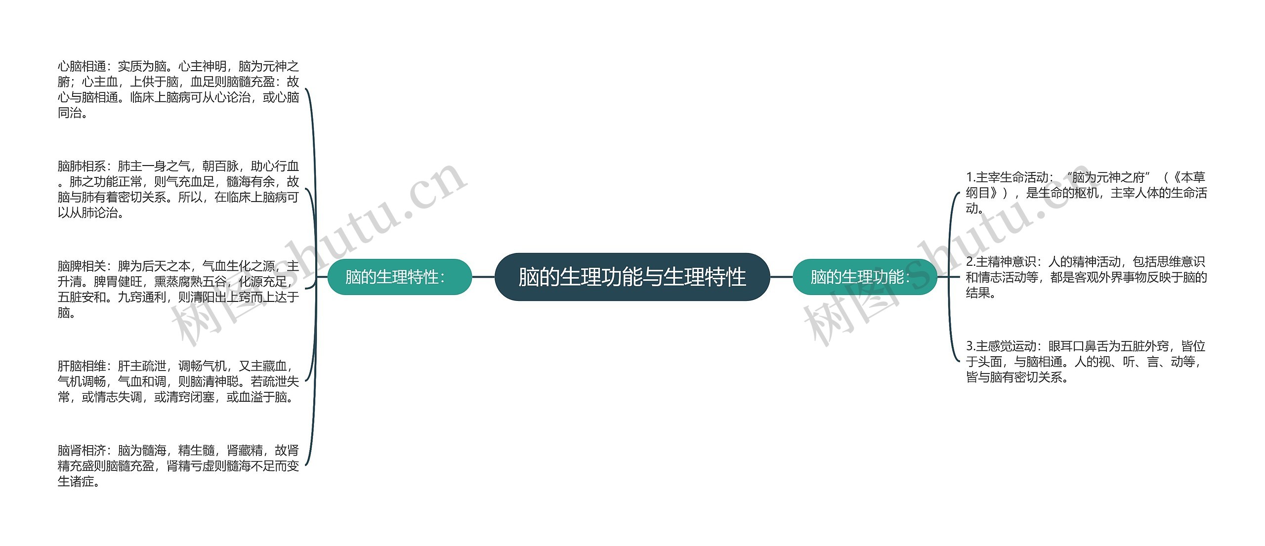 脑的生理功能与生理特性思维导图