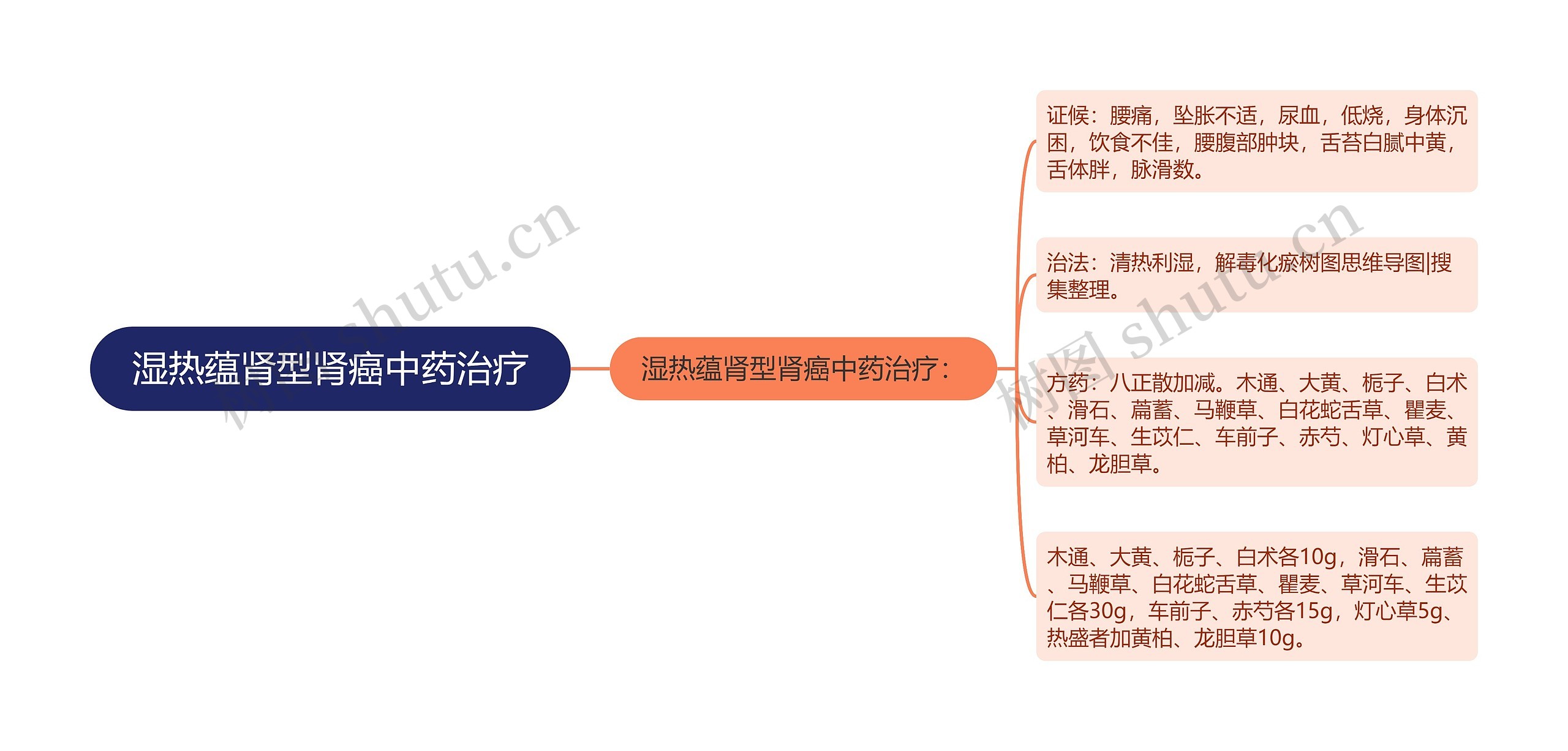 湿热蕴肾型肾癌中药治疗