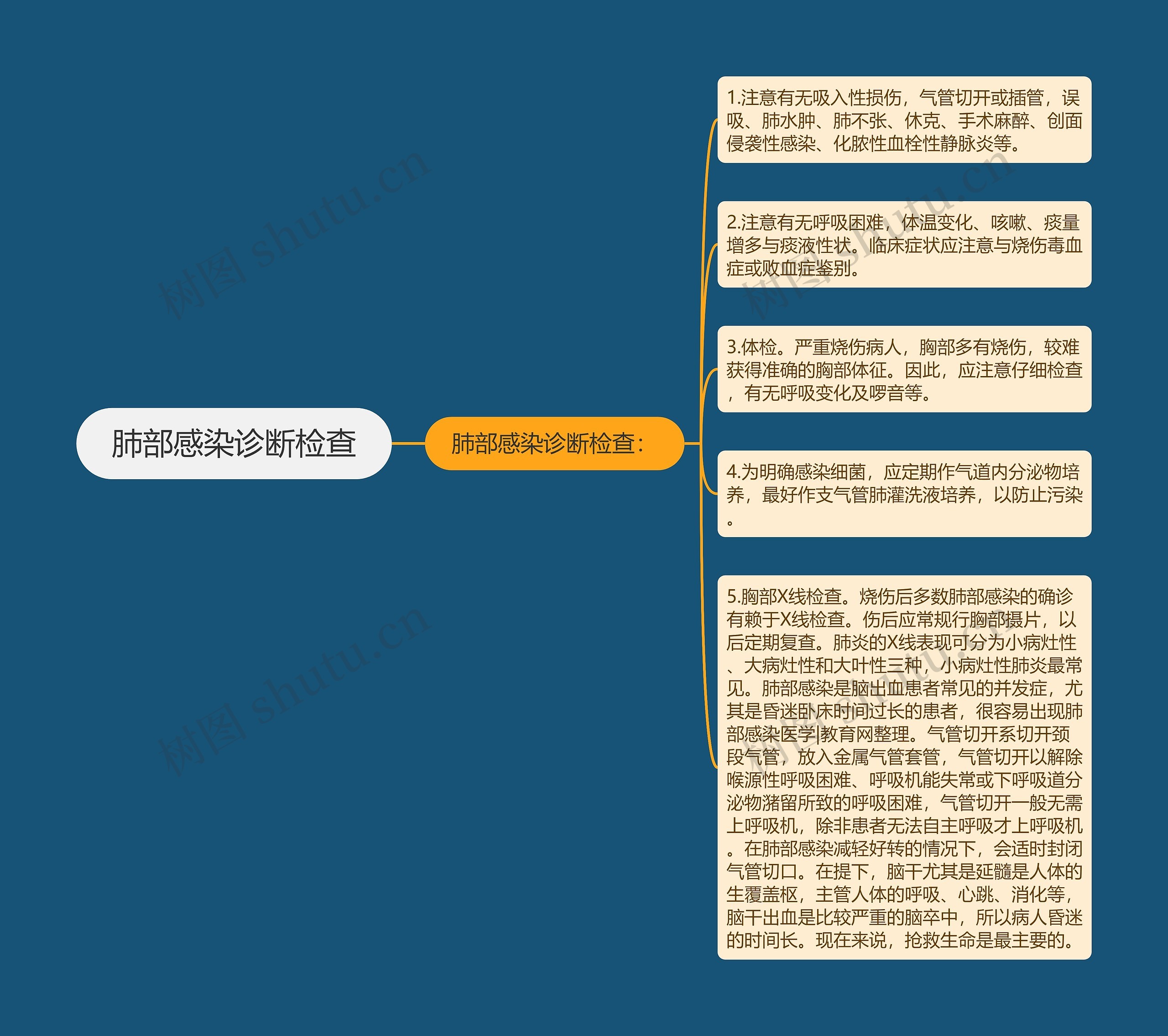 肺部感染诊断检查 肺部感染诊断检查