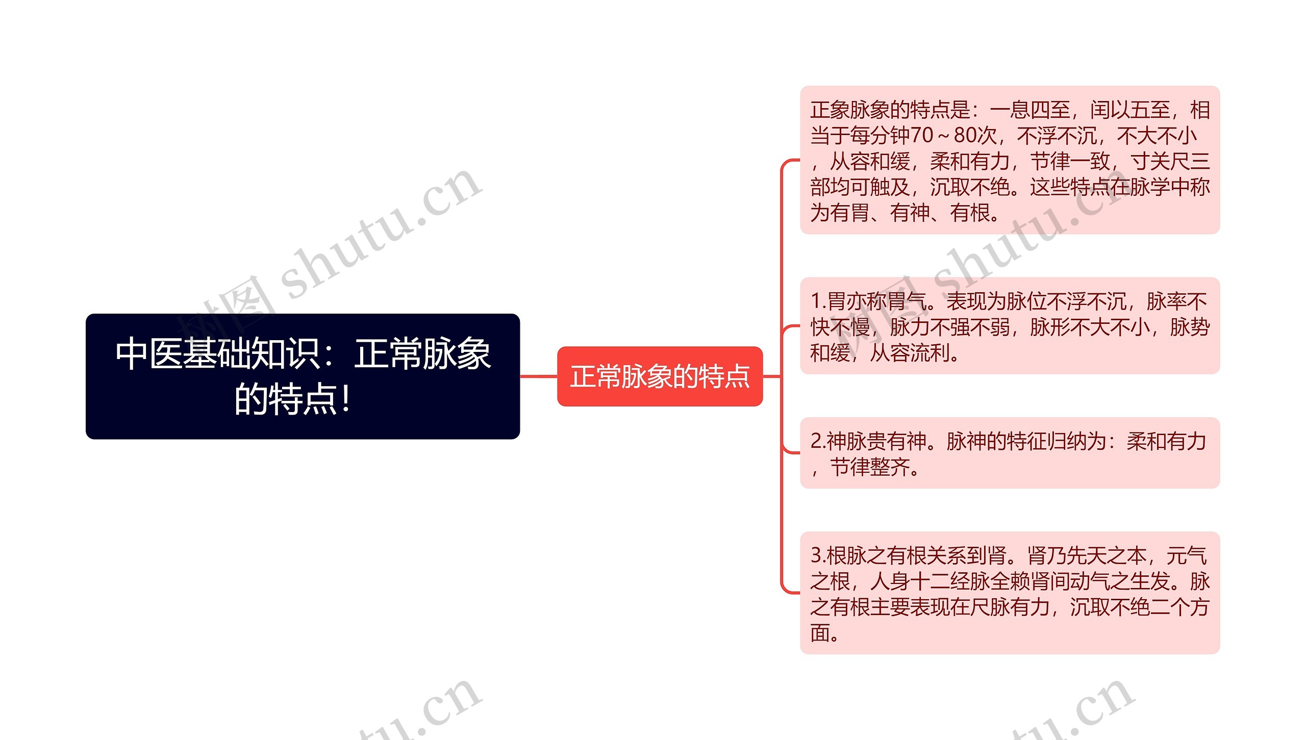 中医基础知识：正常脉象的特点！