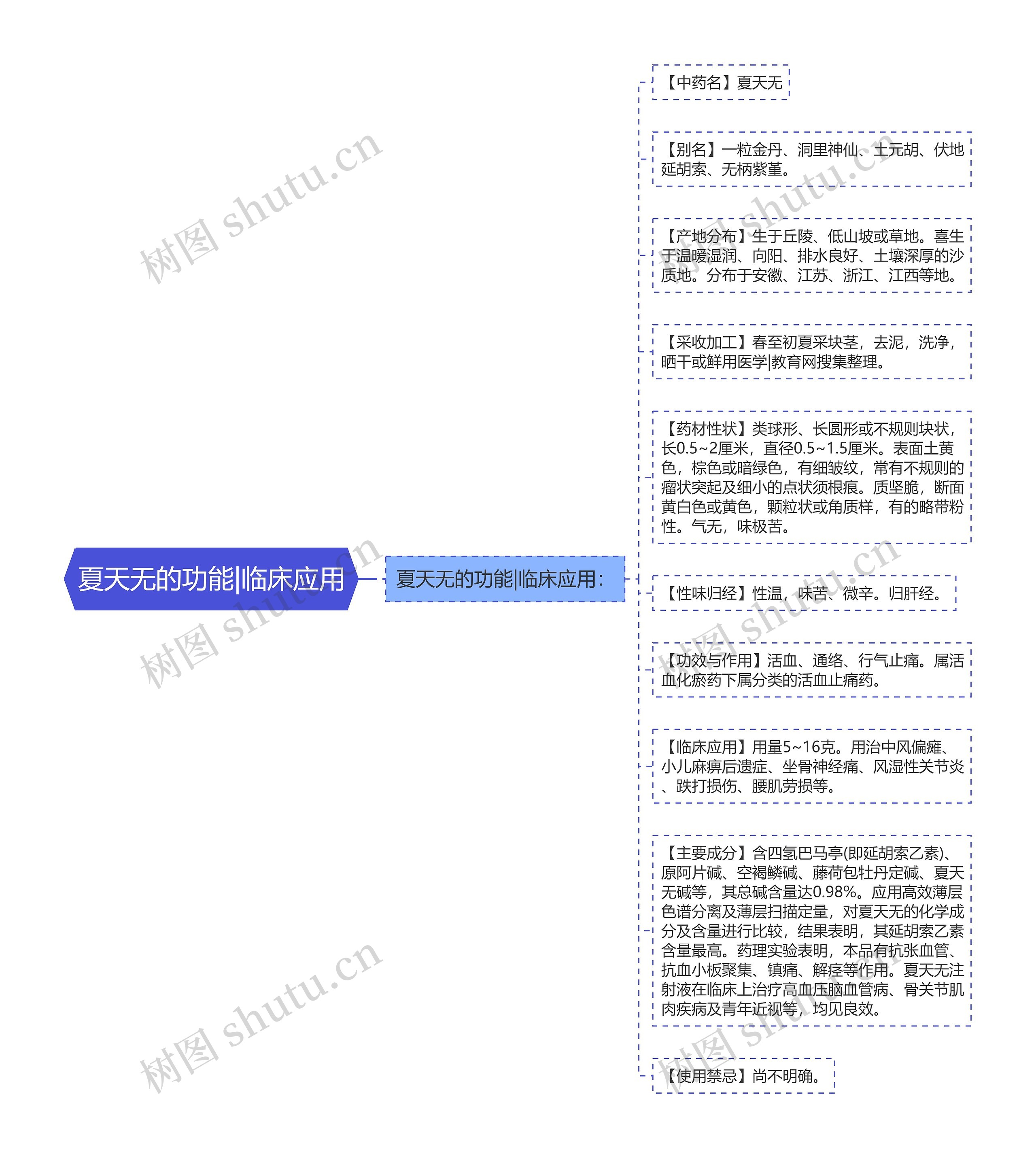 夏天无的功能|临床应用