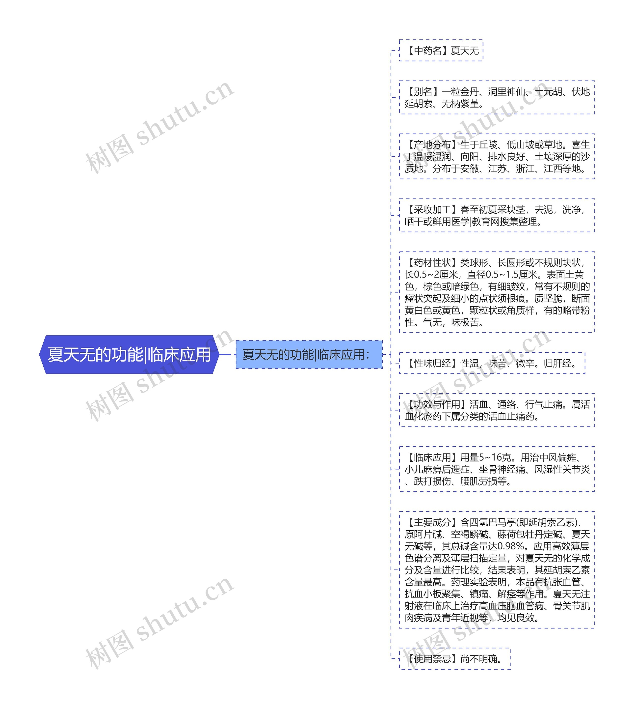 夏天无的功能|临床应用思维导图