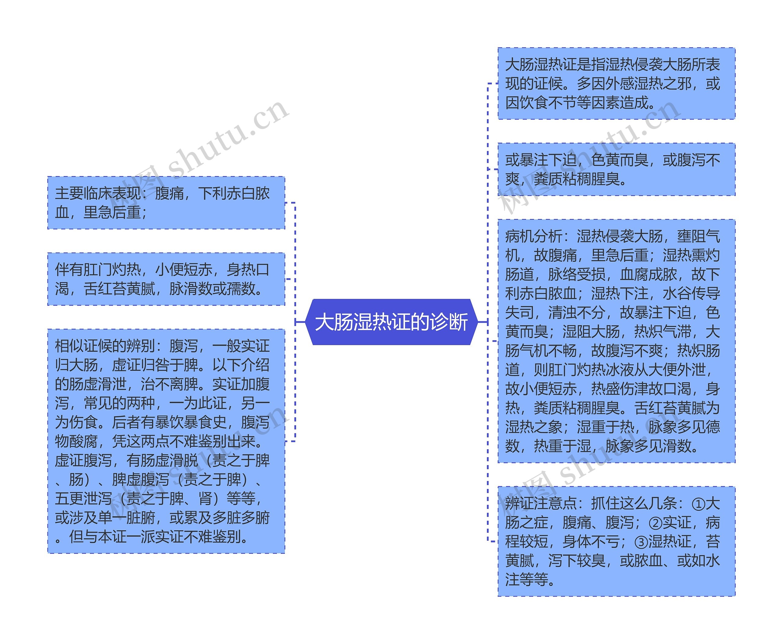 大肠湿热证的诊断思维导图