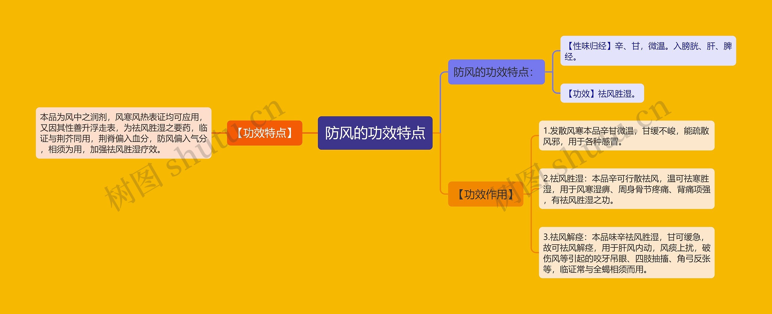 防风的功效特点思维导图