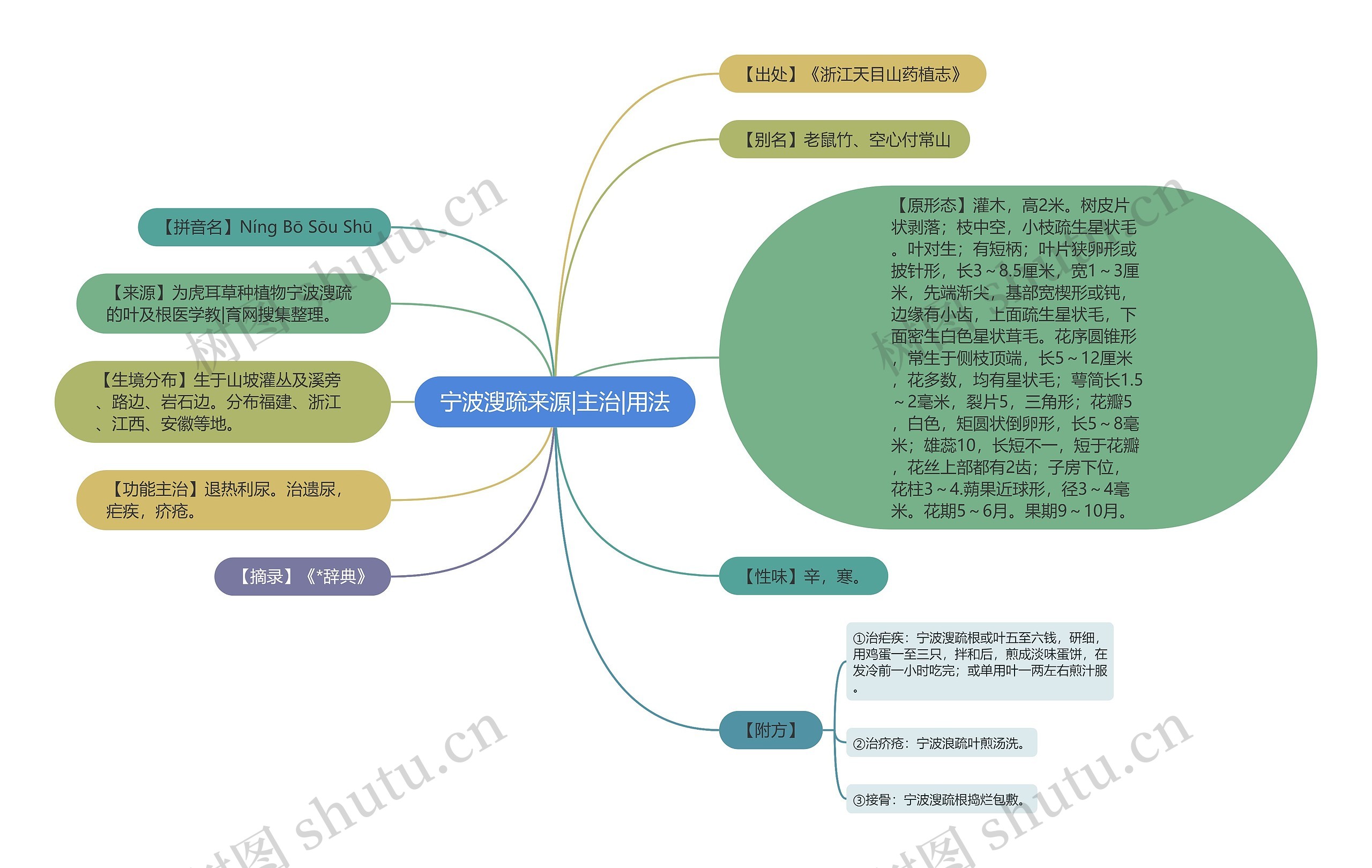 宁波溲疏来源|主治|用法