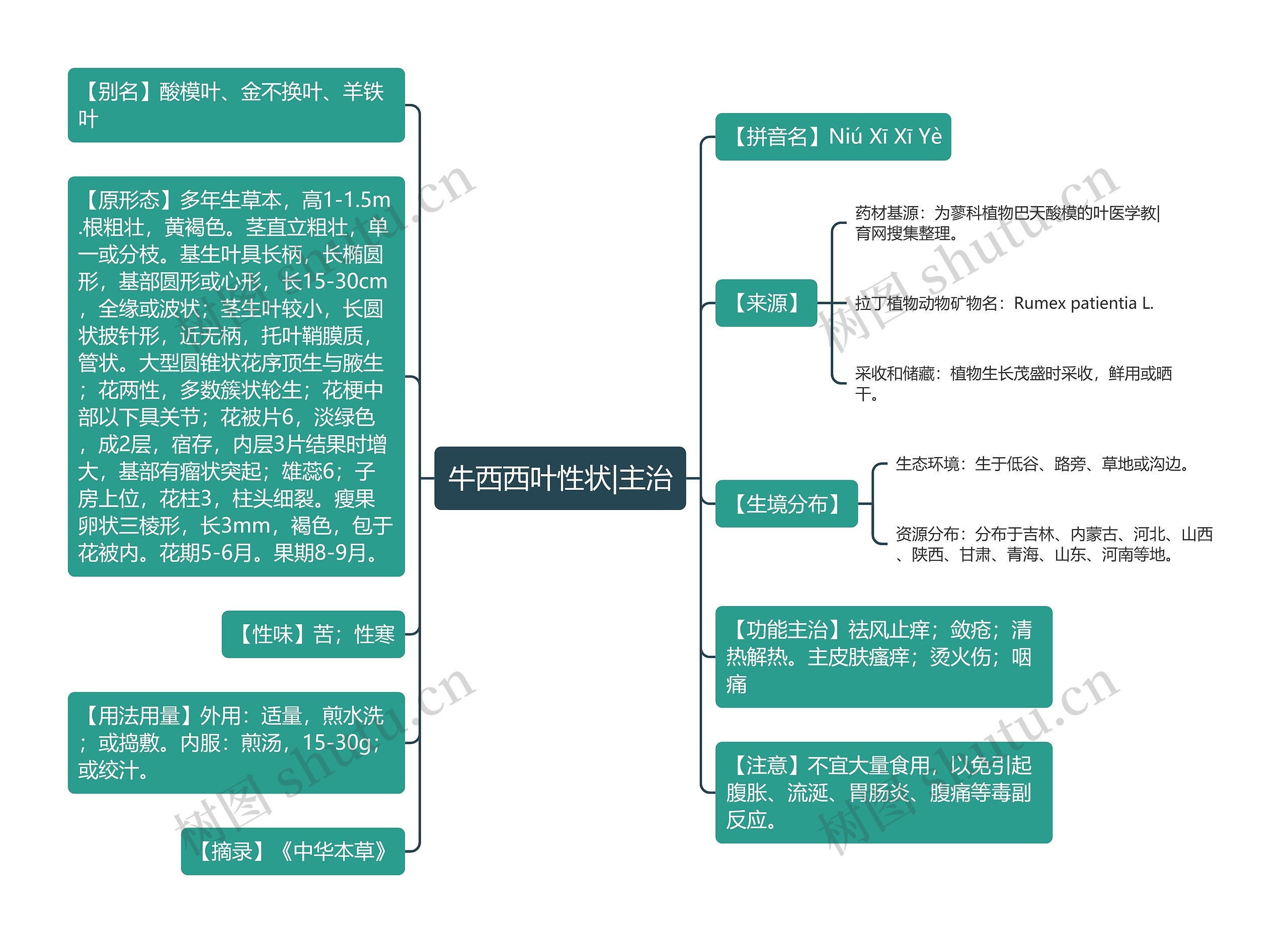 牛西西叶性状|主治思维导图