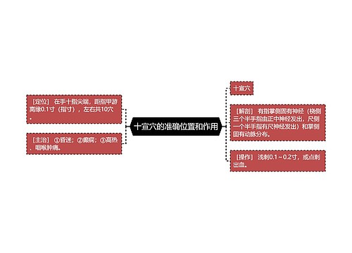 十宣穴的准确位置和作用