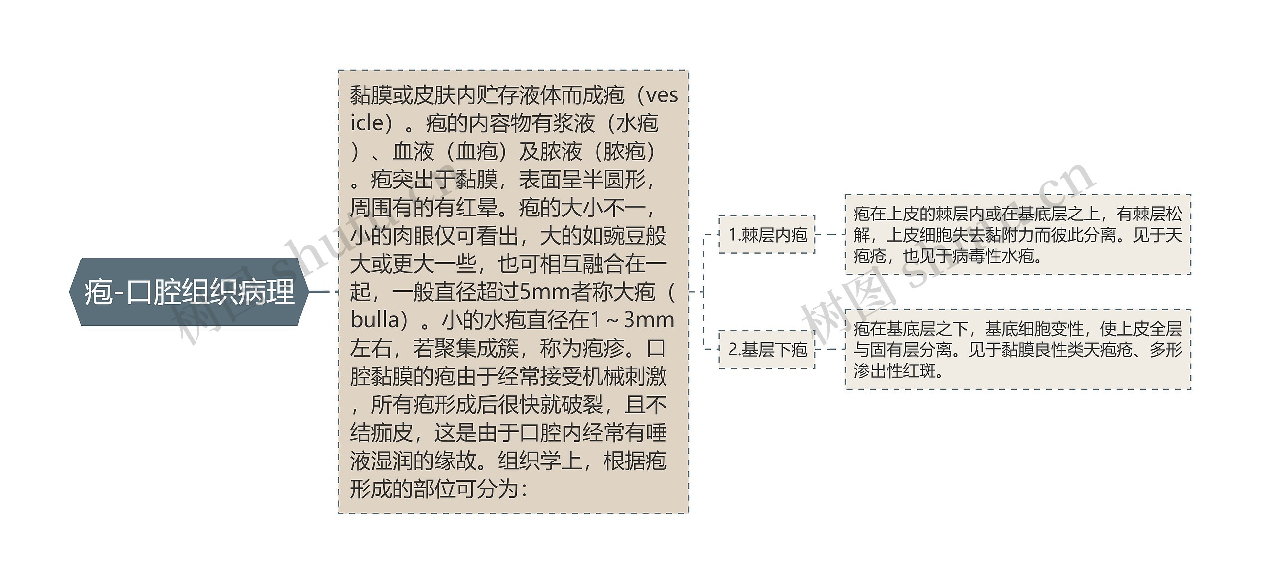 疱-口腔组织病理