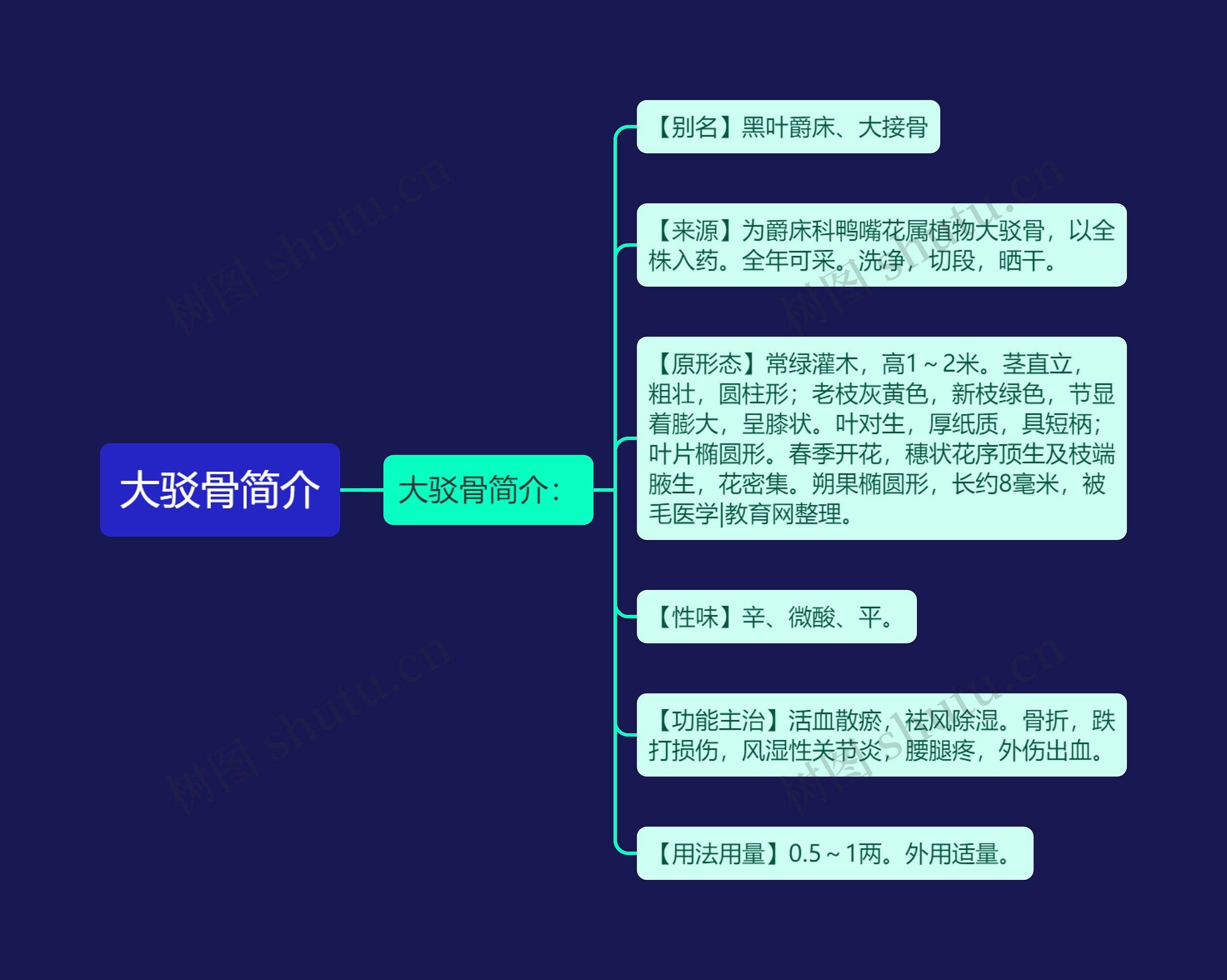 大驳骨简介 大驳骨简介