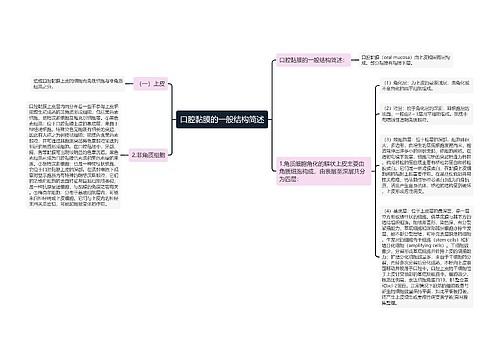 口腔黏膜的一般结构简述