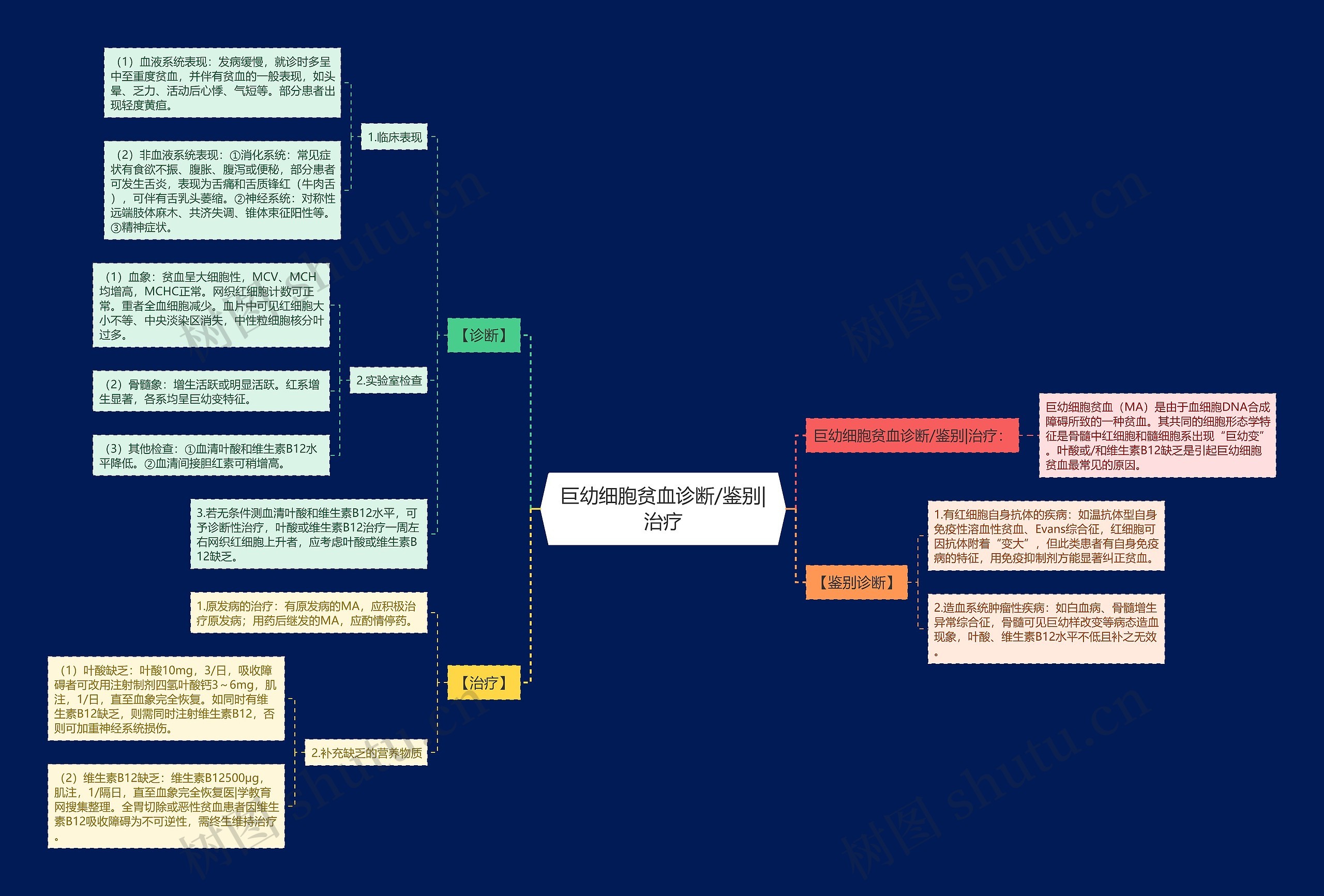 巨幼细胞贫血诊断/鉴别|治疗思维导图