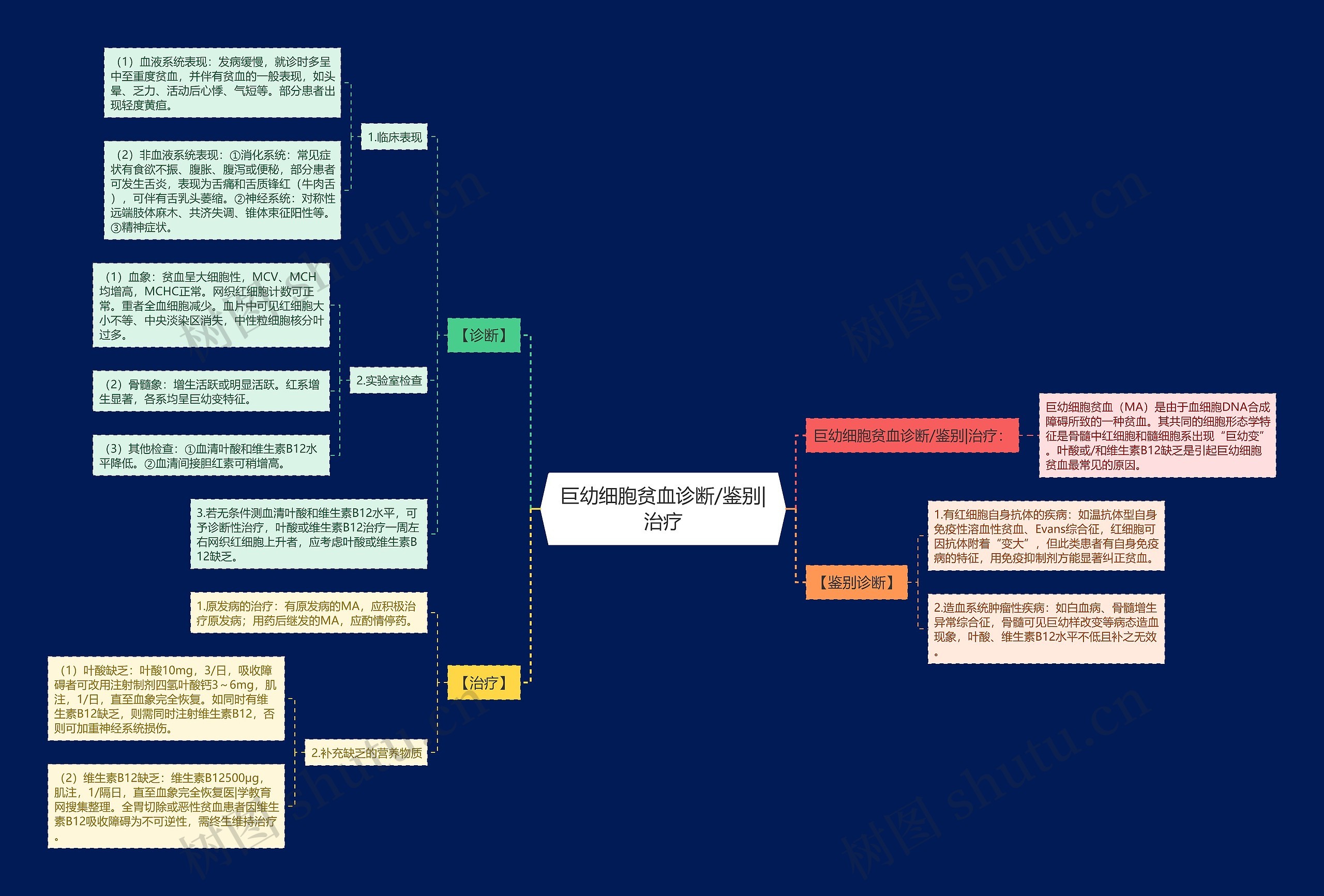 巨幼细胞贫血诊断/鉴别|治疗 巨幼细胞贫血诊断/鉴别|治疗