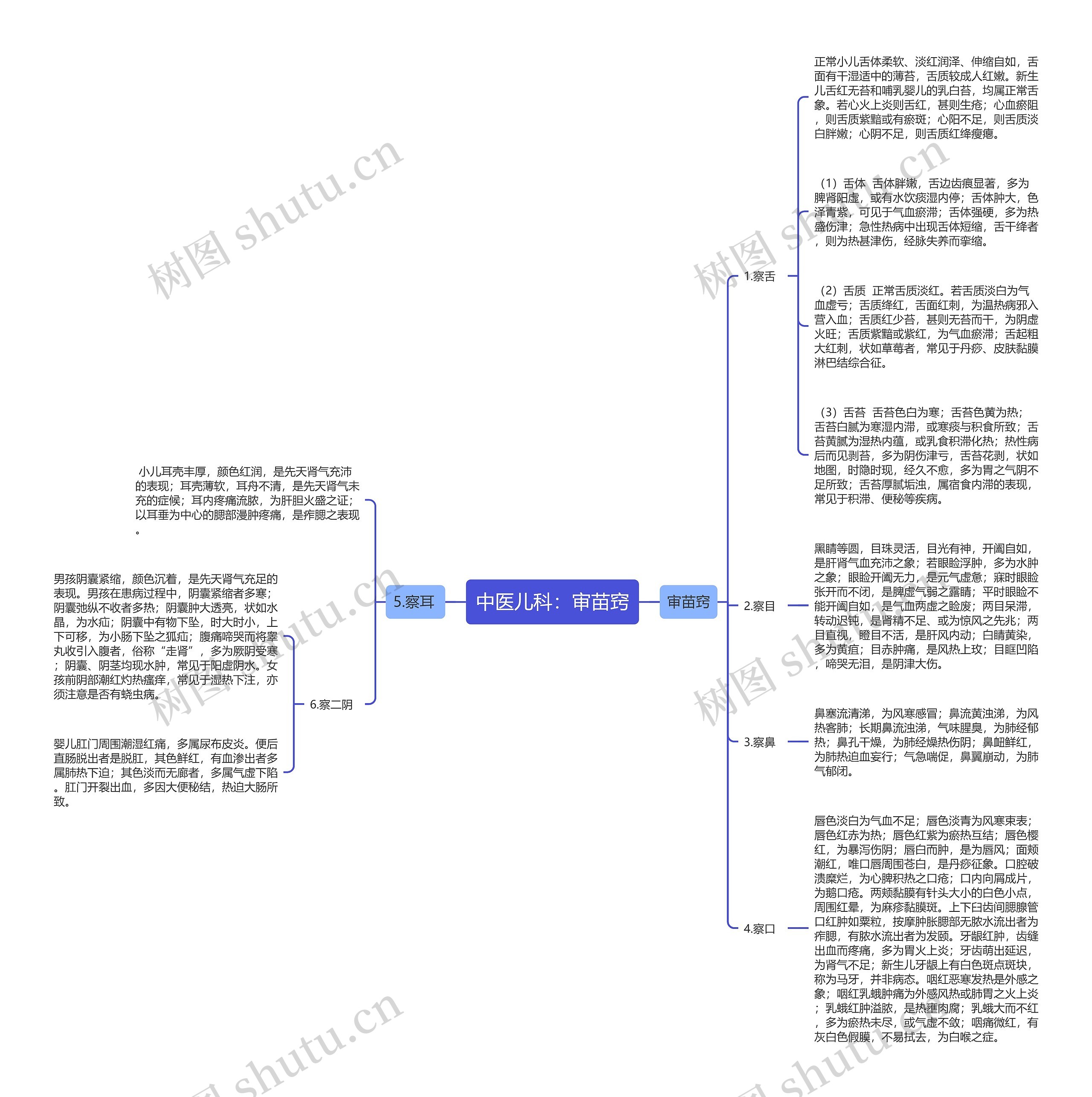 中医儿科：审苗窍思维导图
