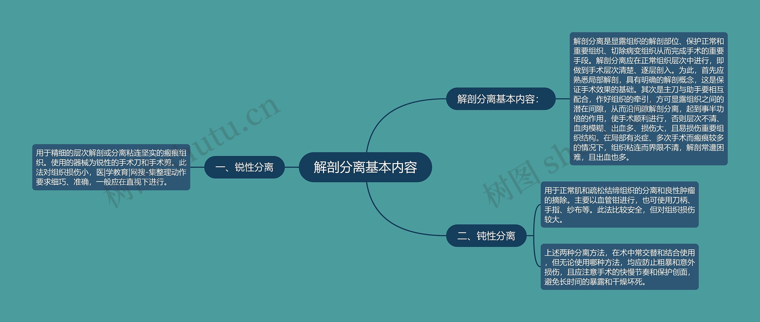 解剖分离基本内容思维导图