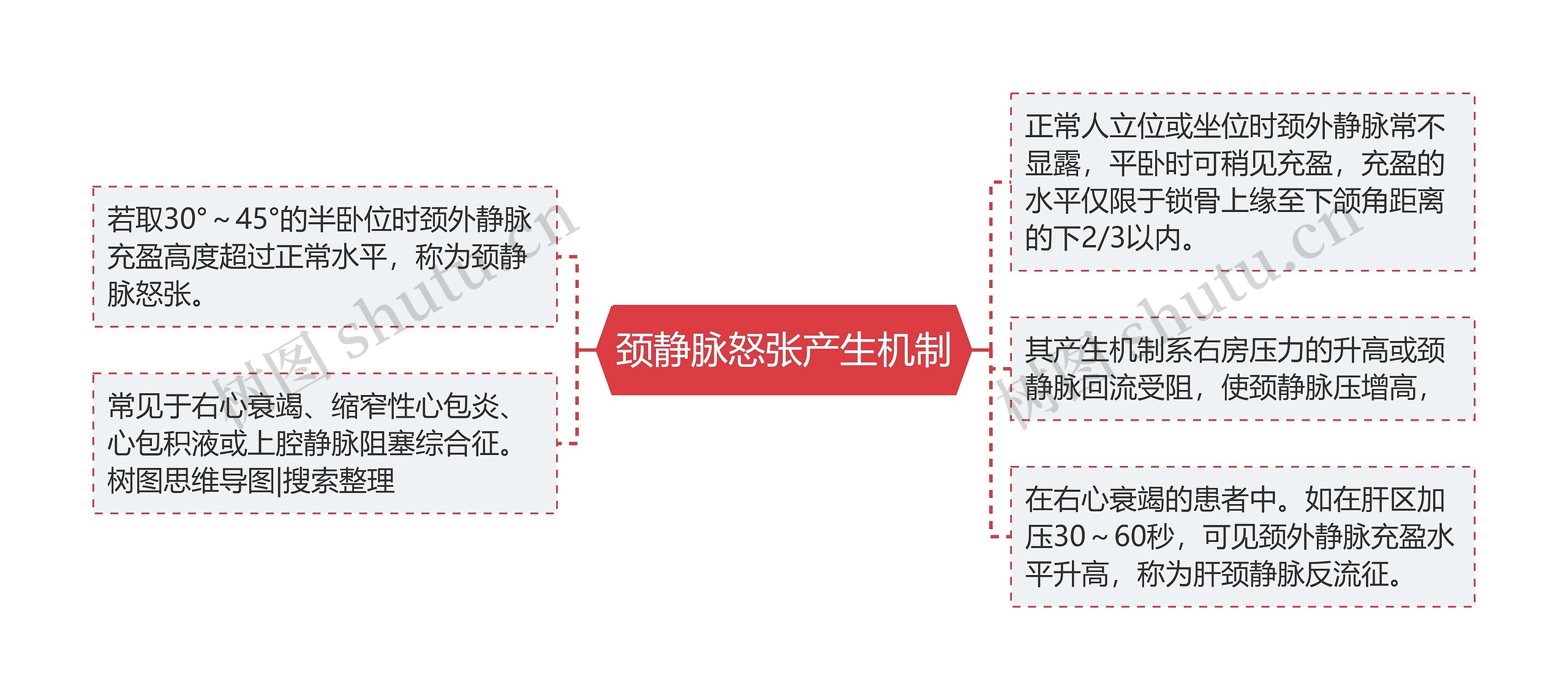 颈静脉怒张产生机制