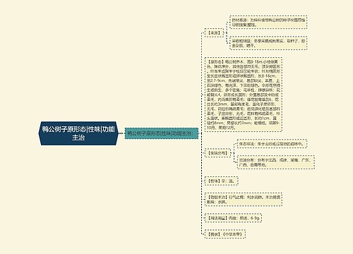 鸭公树子原形态|性味|功能主治